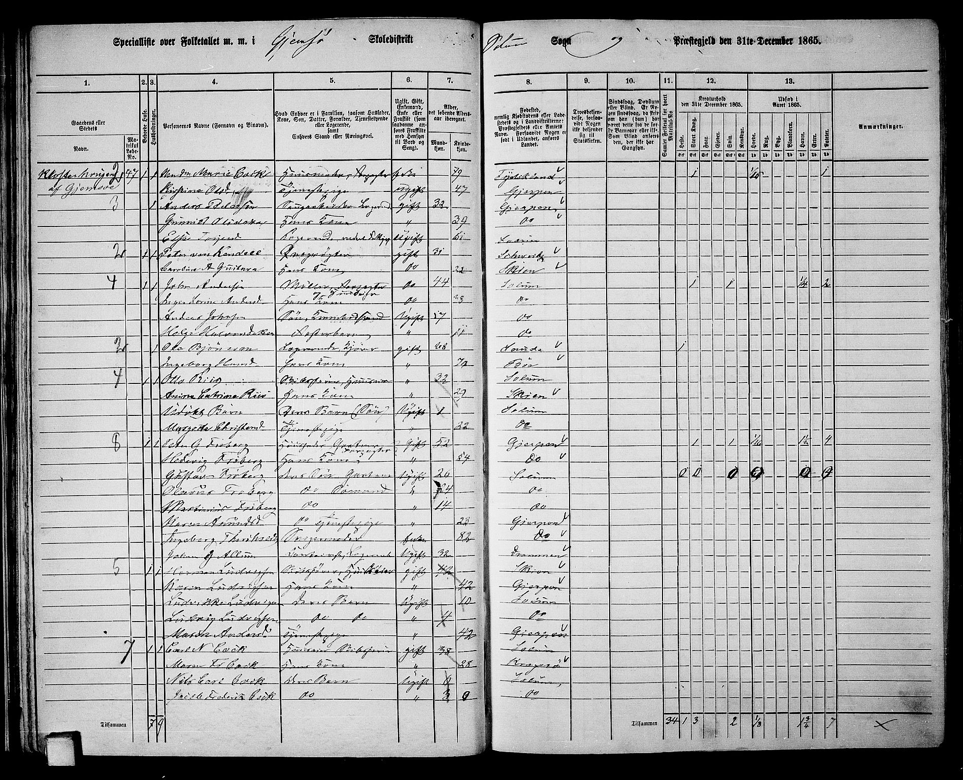 RA, 1865 census for Solum, 1865, p. 48