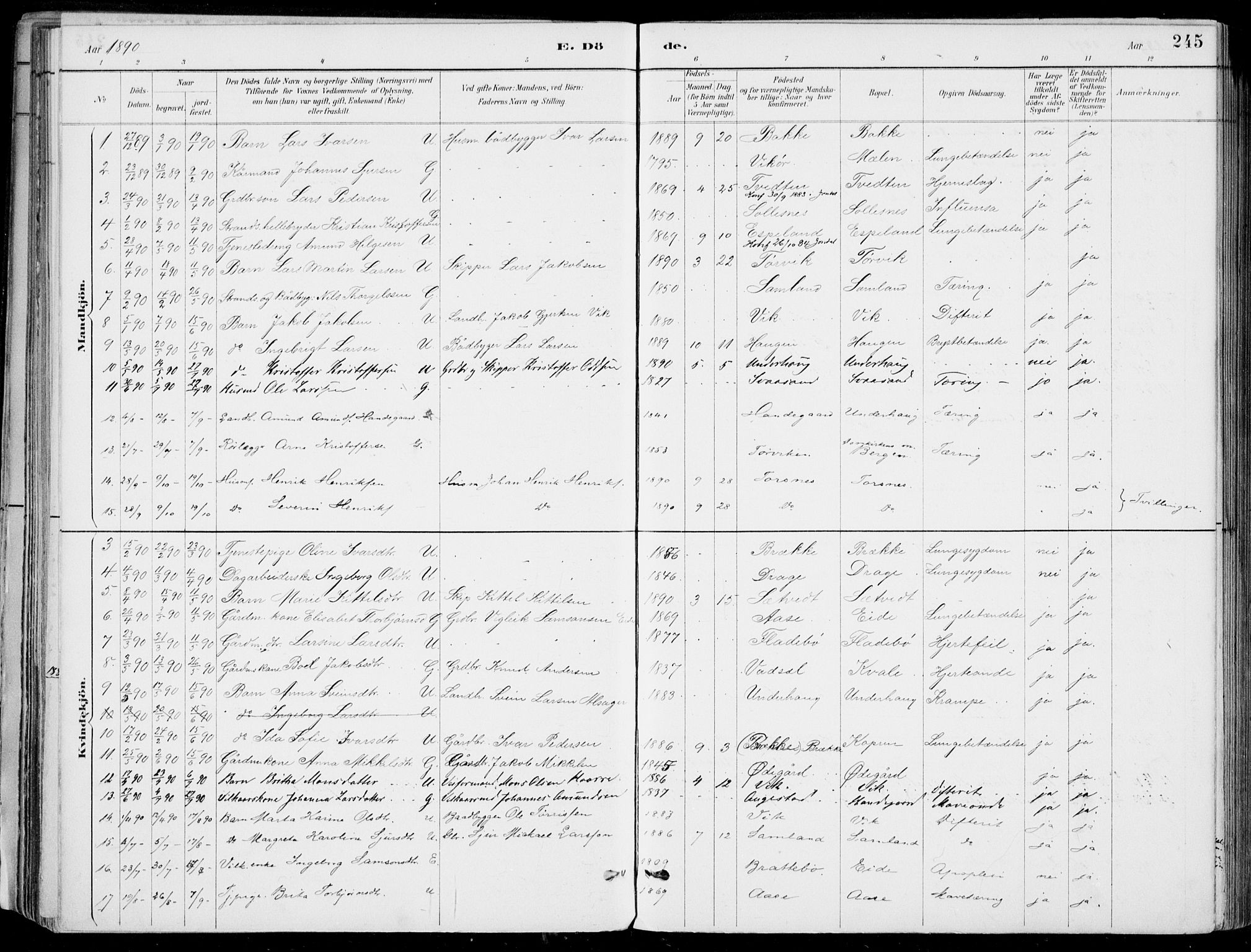 Strandebarm sokneprestembete, AV/SAB-A-78401/H/Haa: Parish register (official) no. E  1, 1886-1908, p. 245