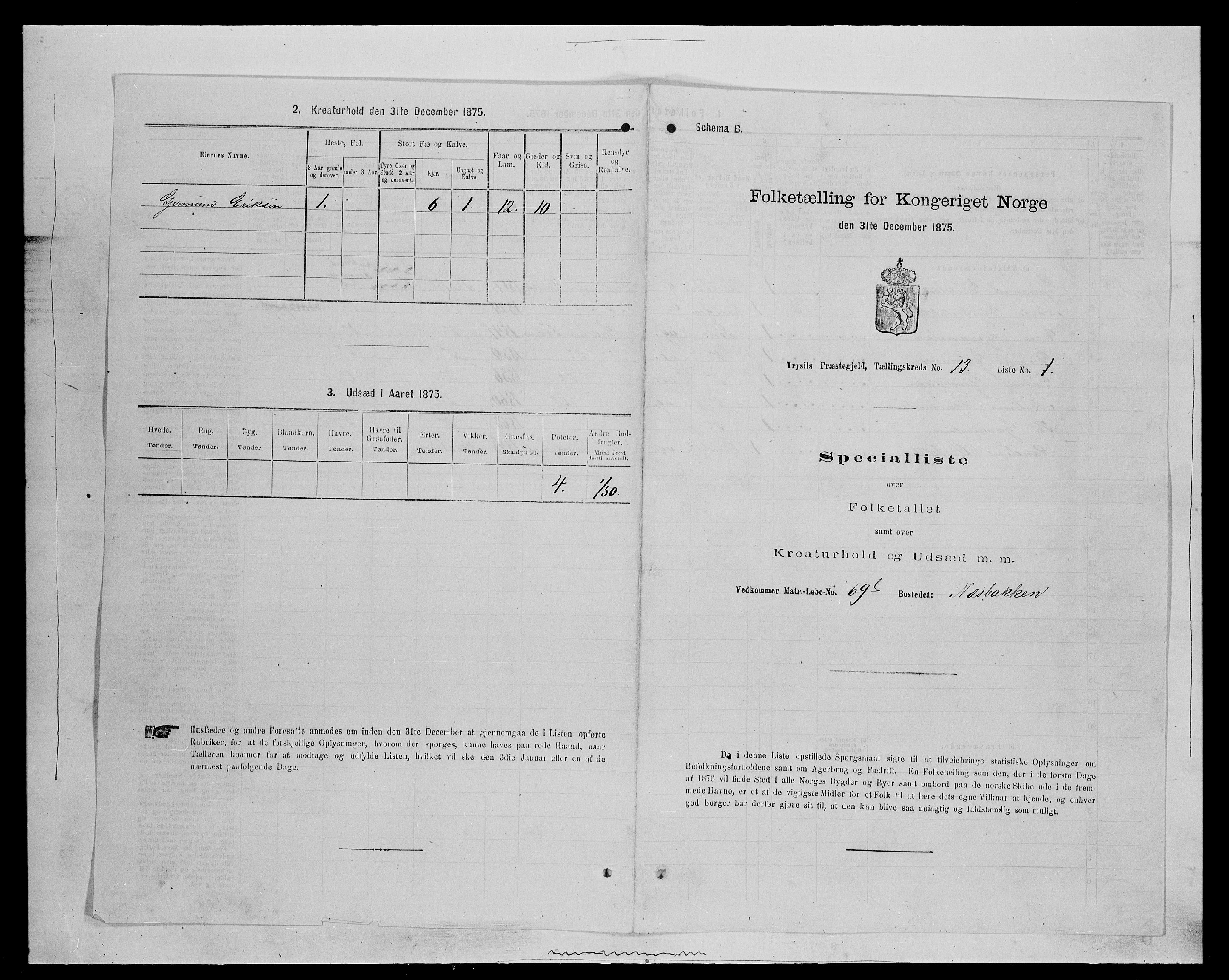 SAH, 1875 census for 0428P Trysil, 1875, p. 1358