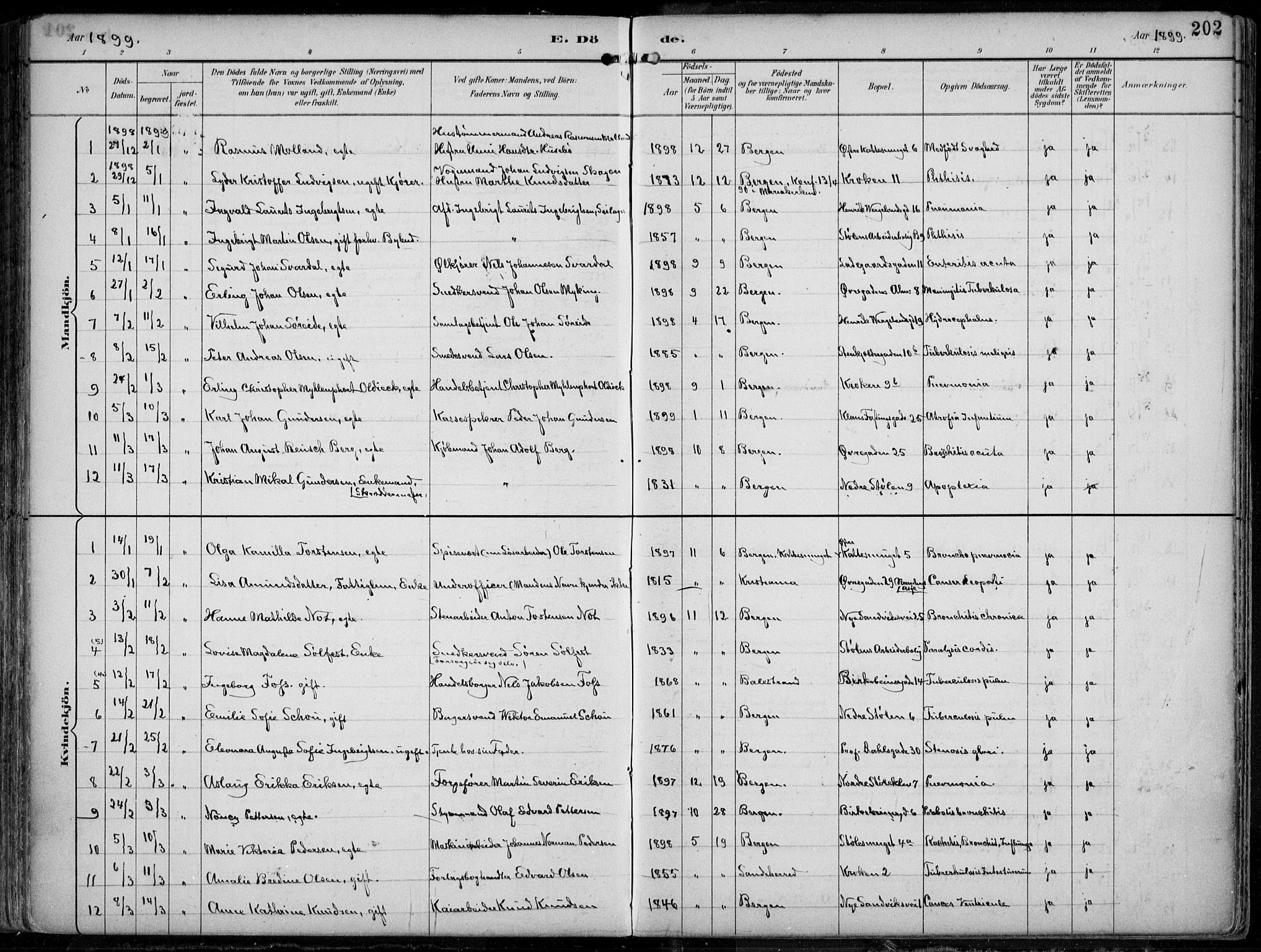 Mariakirken Sokneprestembete, SAB/A-76901/H/Hab/L0005: Parish register (copy) no. A 5, 1893-1913, p. 202