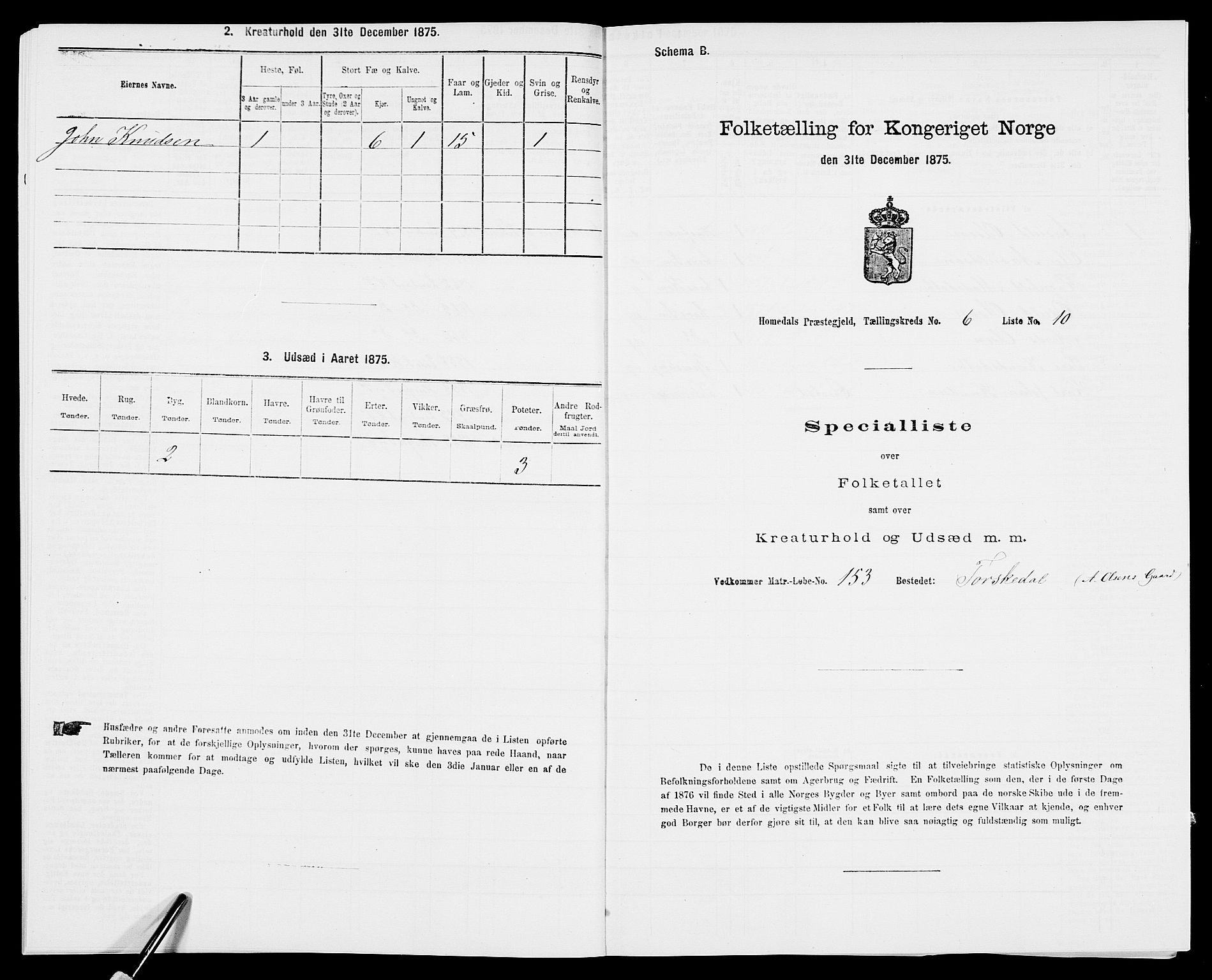 SAK, 1875 census for 0924P Homedal, 1875, p. 1056