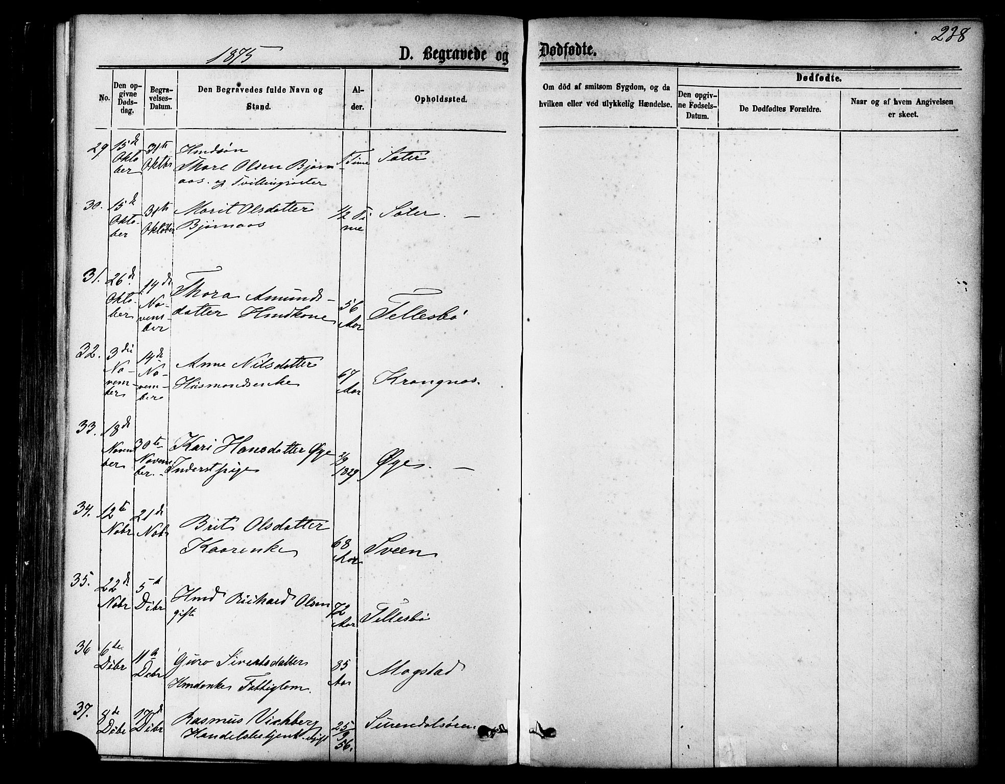 Ministerialprotokoller, klokkerbøker og fødselsregistre - Møre og Romsdal, AV/SAT-A-1454/595/L1046: Parish register (official) no. 595A08, 1874-1884, p. 238