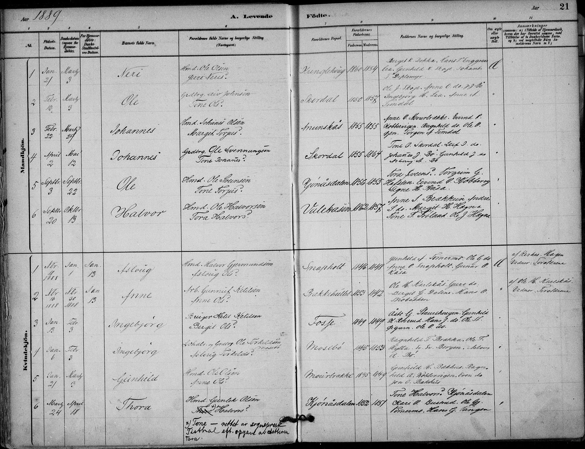 Hjartdal kirkebøker, SAKO/A-270/F/Fb/L0002: Parish register (official) no. II 2, 1880-1932, p. 21