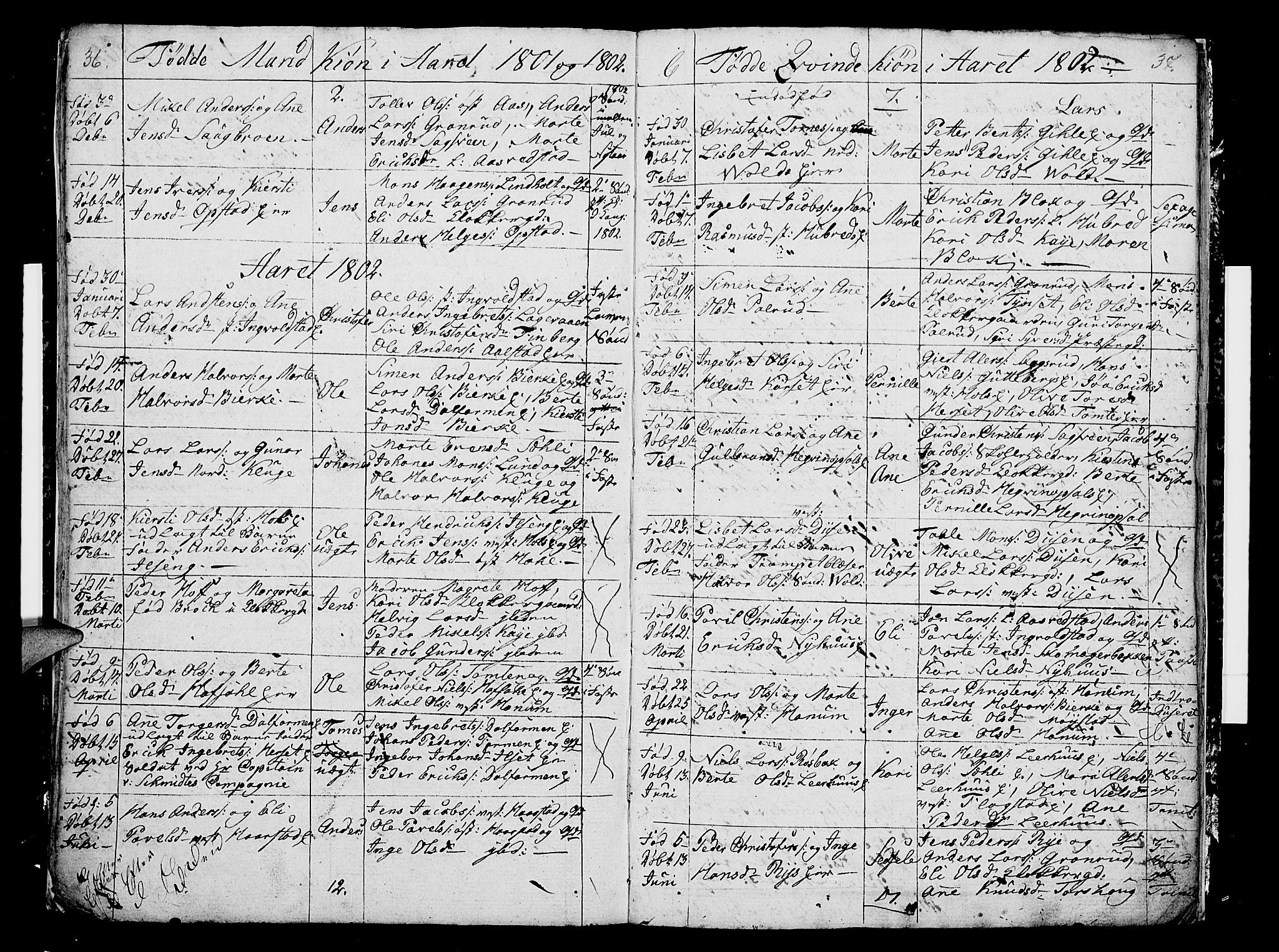 Vang prestekontor, Hedmark, AV/SAH-PREST-008/H/Ha/Hab/L0002: Parish register (copy) no. 2, 1797-1803, p. 36-37