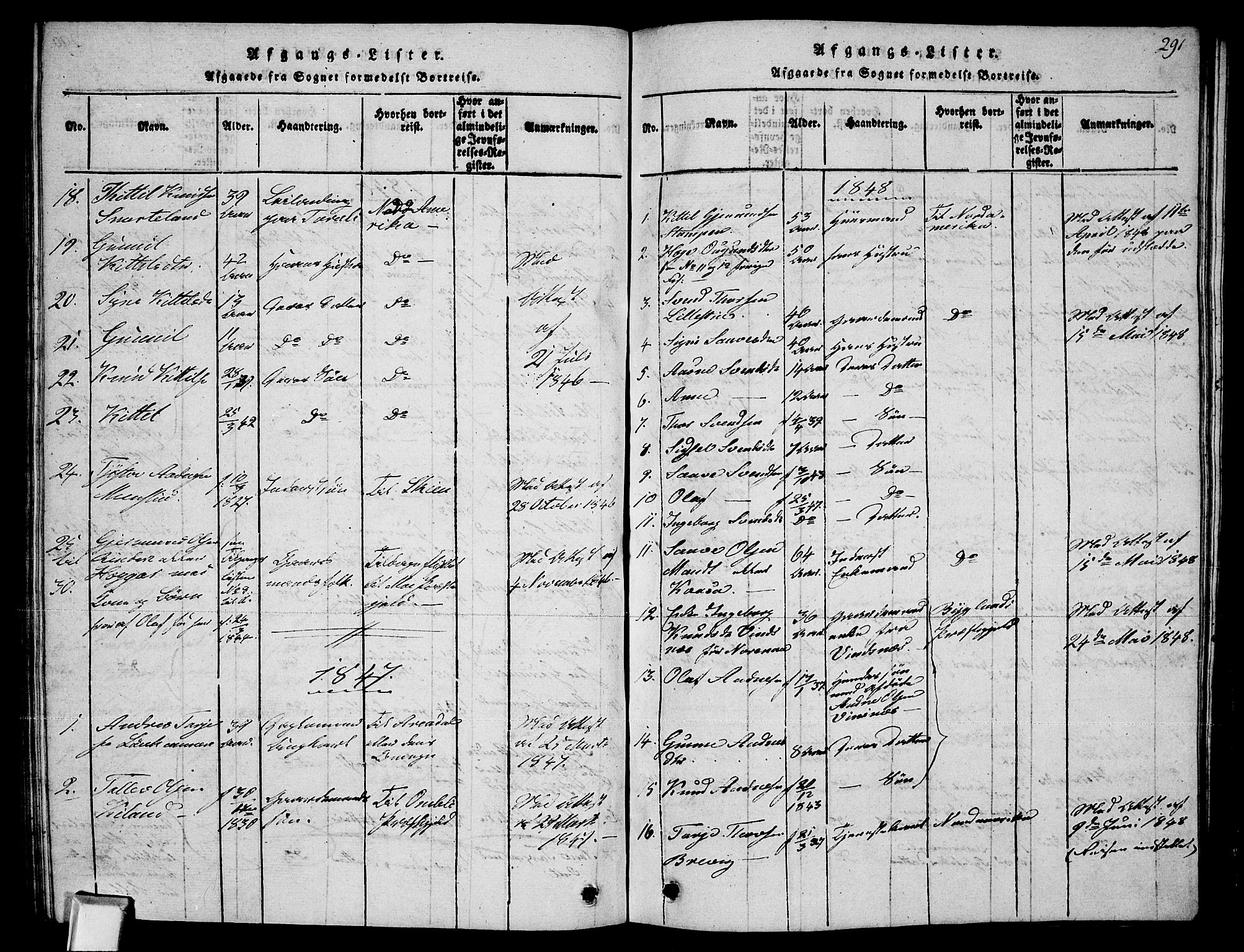 Fyresdal kirkebøker, SAKO/A-263/G/Ga/L0002: Parish register (copy) no. I 2, 1815-1857, p. 291