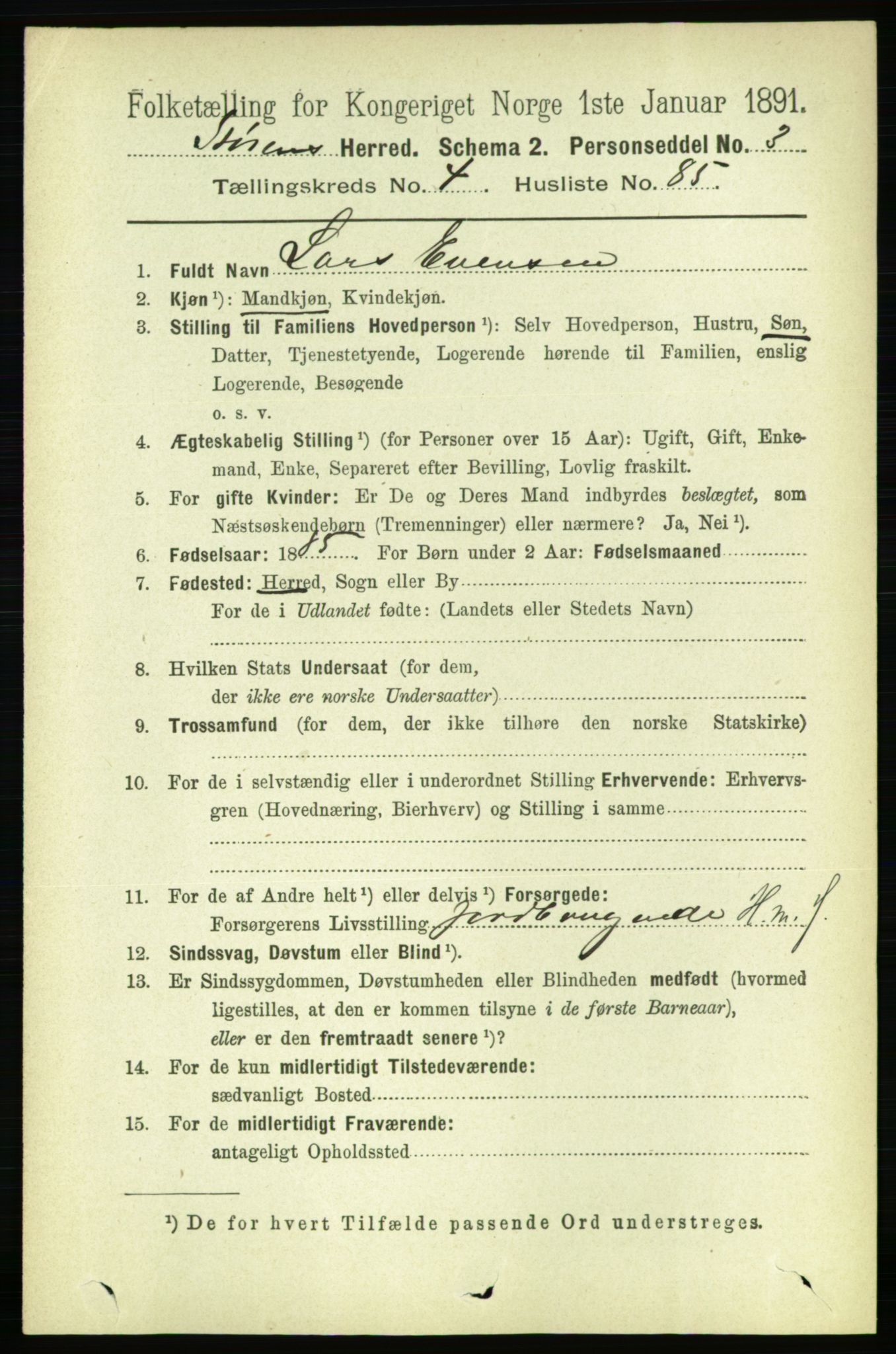 RA, 1891 census for 1648 Støren, 1891, p. 1871