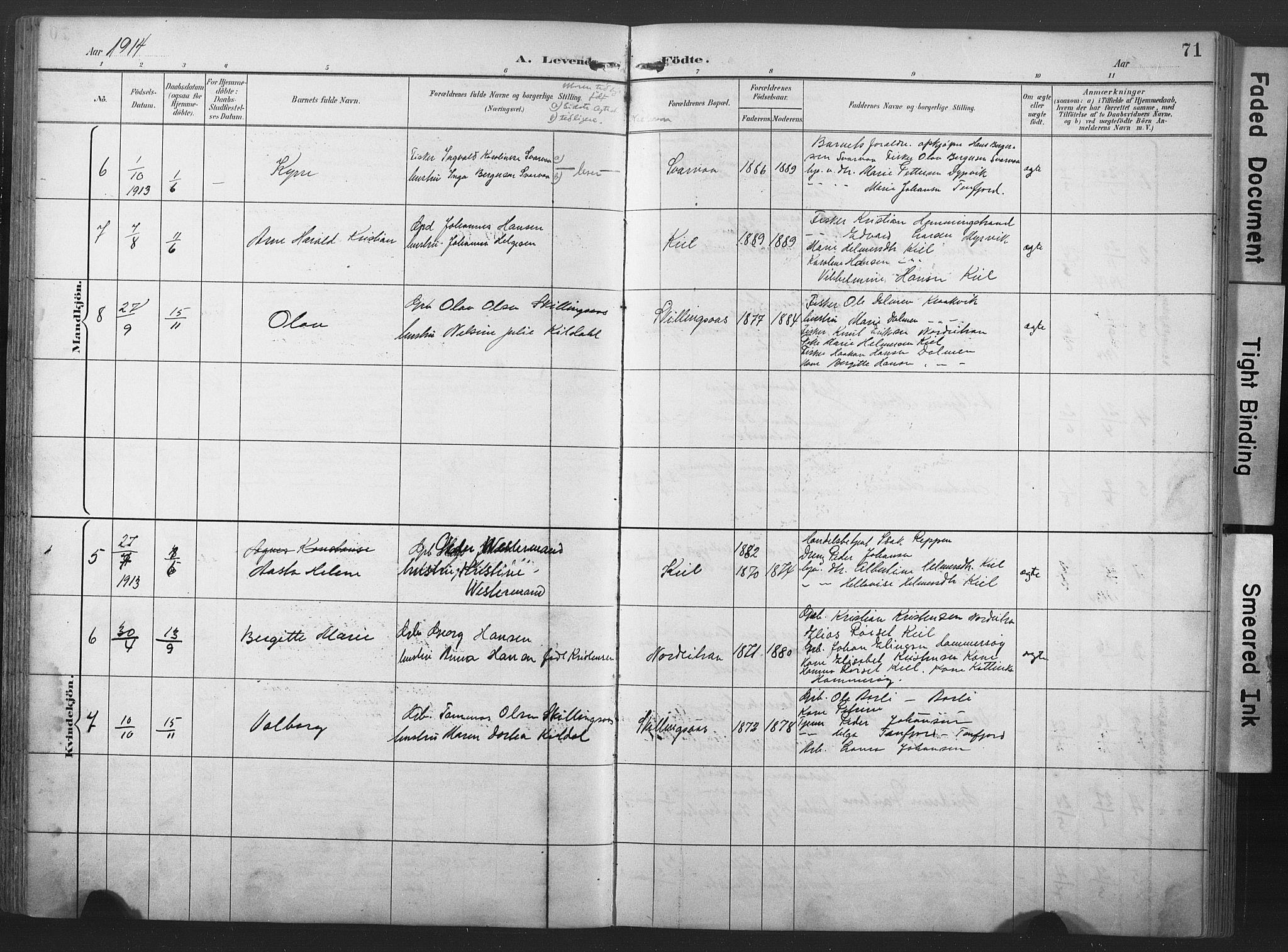 Ministerialprotokoller, klokkerbøker og fødselsregistre - Nord-Trøndelag, SAT/A-1458/789/L0706: Parish register (copy) no. 789C01, 1888-1931, p. 71