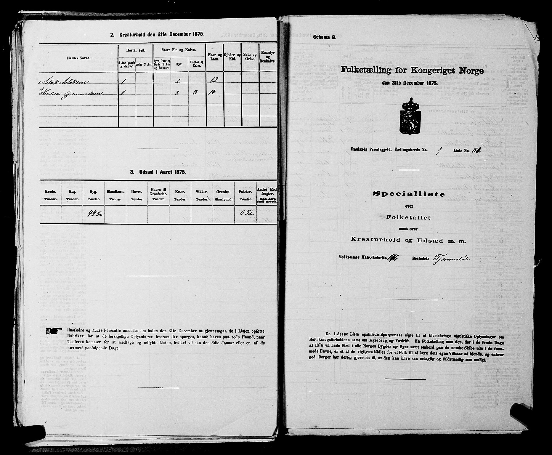 SAKO, 1875 census for 0835P Rauland, 1875, p. 92