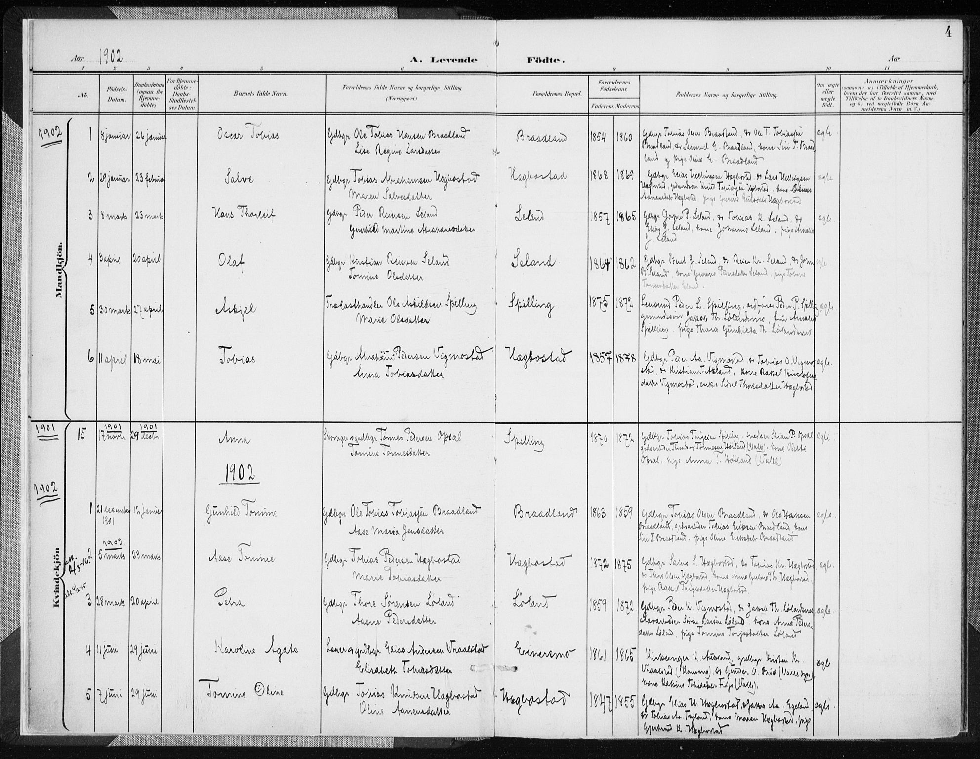 Nord-Audnedal sokneprestkontor, AV/SAK-1111-0032/F/Fa/Fab/L0004: Parish register (official) no. A 4, 1901-1917, p. 4