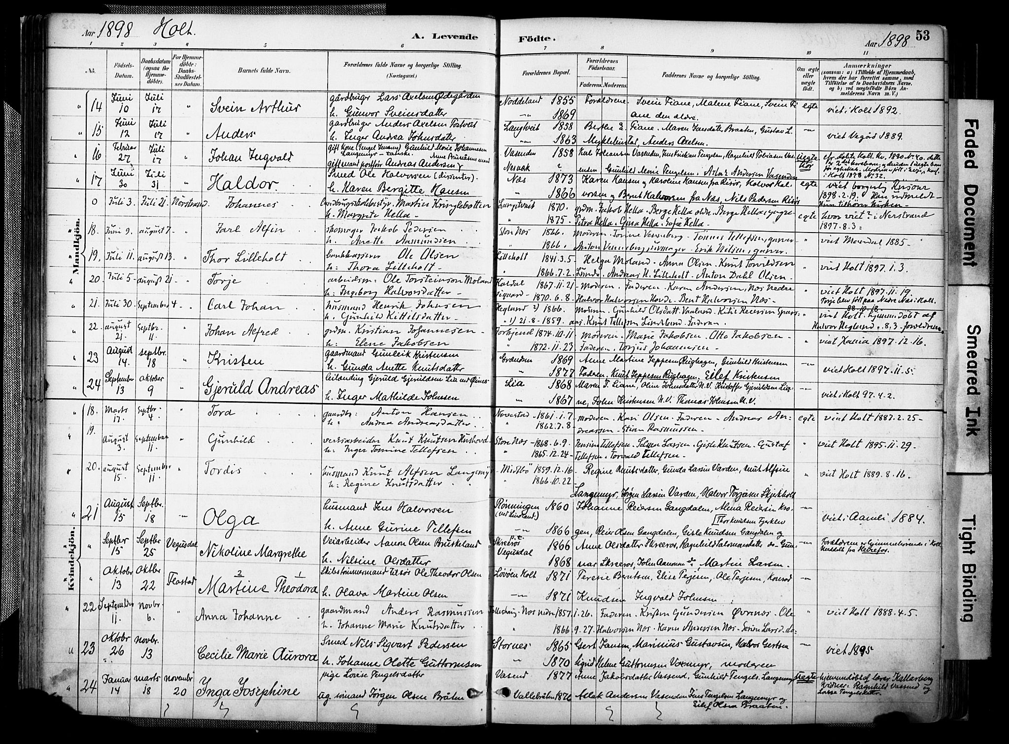 Holt sokneprestkontor, SAK/1111-0021/F/Fa/L0012: Parish register (official) no. A 12, 1885-1907, p. 53