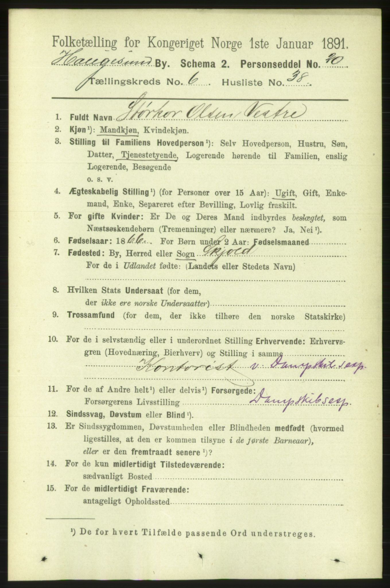 RA, 1891 census for 1106 Haugesund, 1891, p. 3016