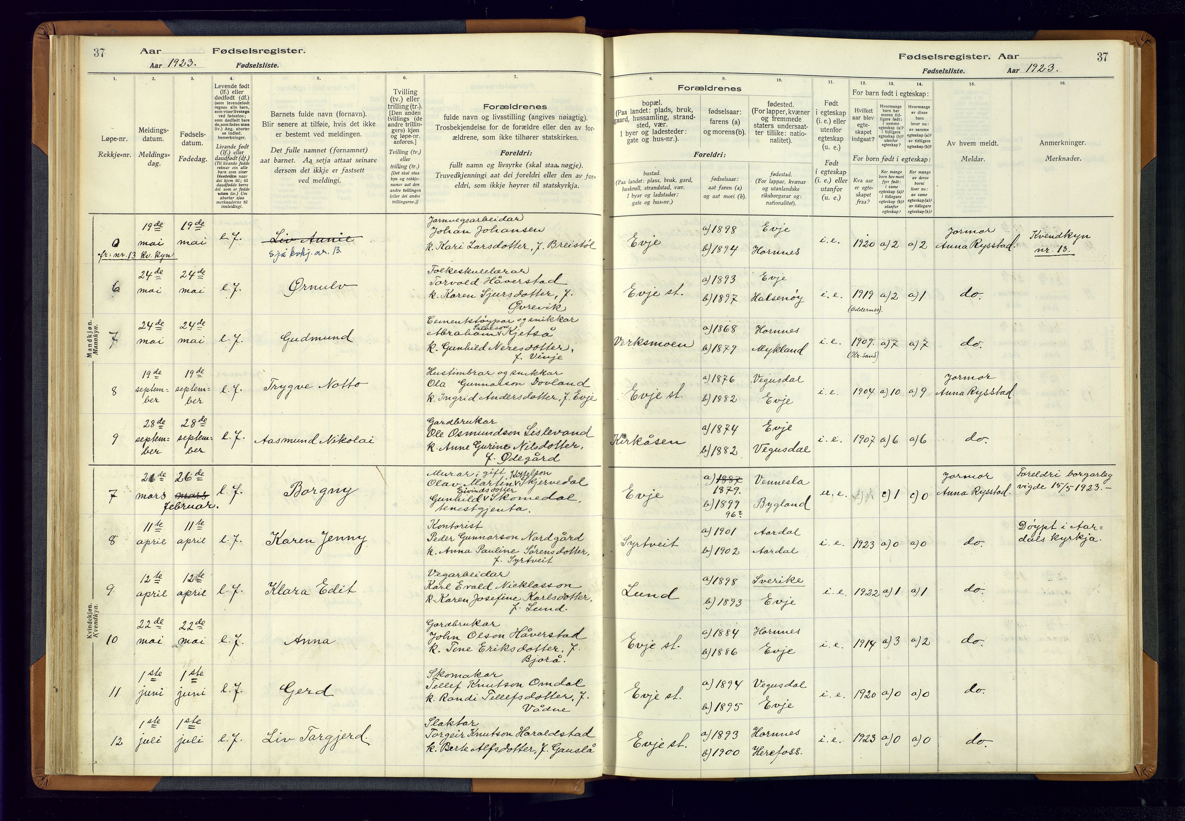 Evje sokneprestkontor, AV/SAK-1111-0008/J/Jc/L0004: Birth register no. 4, 1916-1968, p. 37