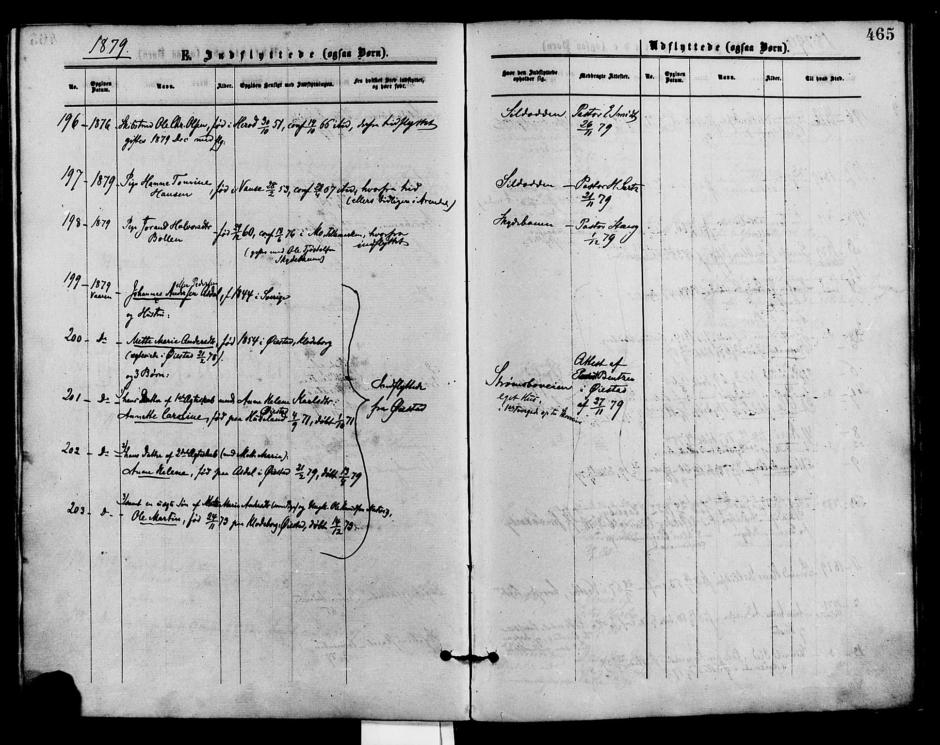 Barbu sokneprestkontor, AV/SAK-1111-0003/F/Fa/L0001: Parish register (official) no. A 1 /1, 1878-1883, p. 465