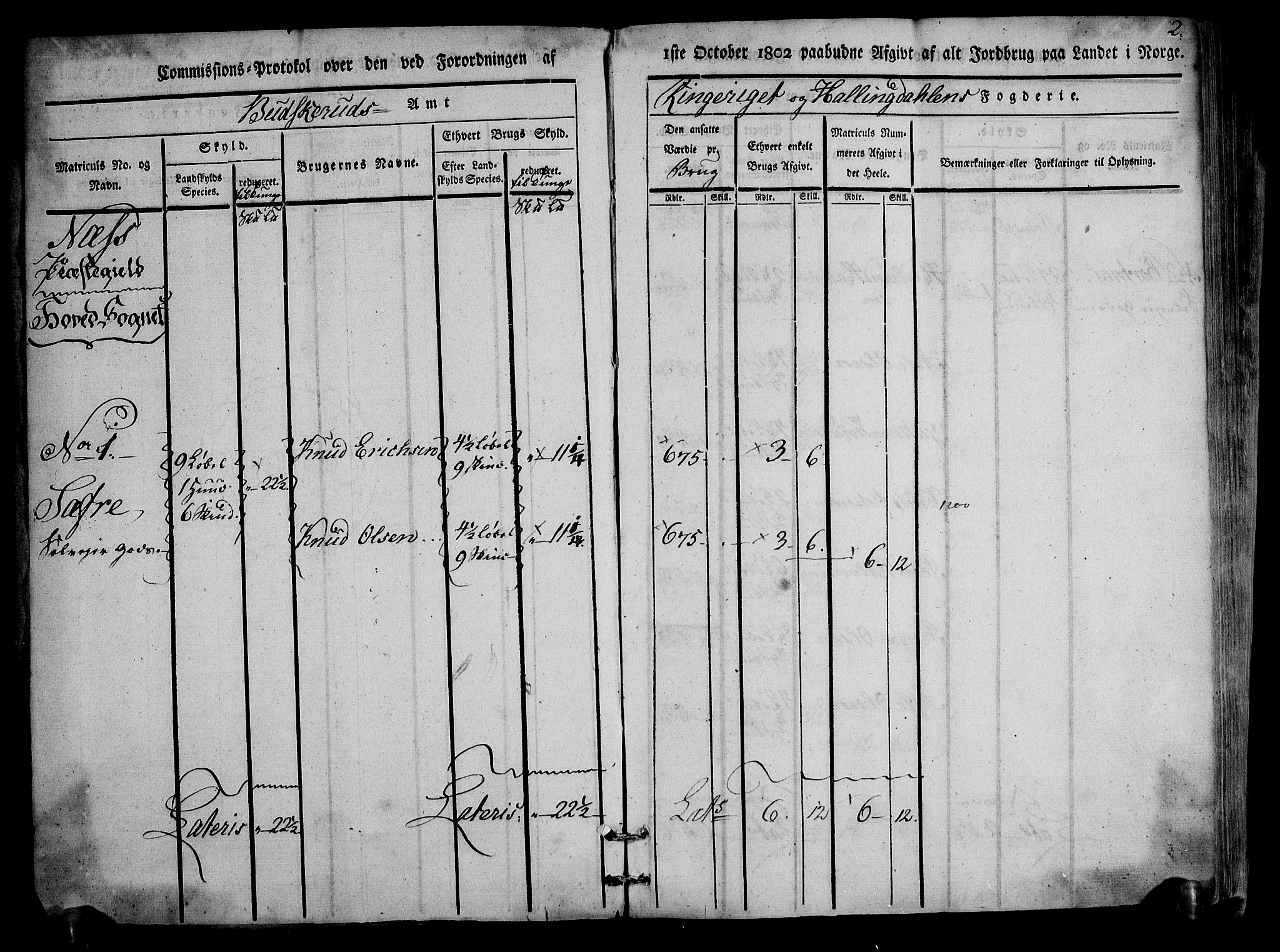 Rentekammeret inntil 1814, Realistisk ordnet avdeling, AV/RA-EA-4070/N/Ne/Nea/L0047: Ringerike og Hallingdal fogderi. Kommisjonsprotokoll for Nes prestegjeld, 1803, p. 3