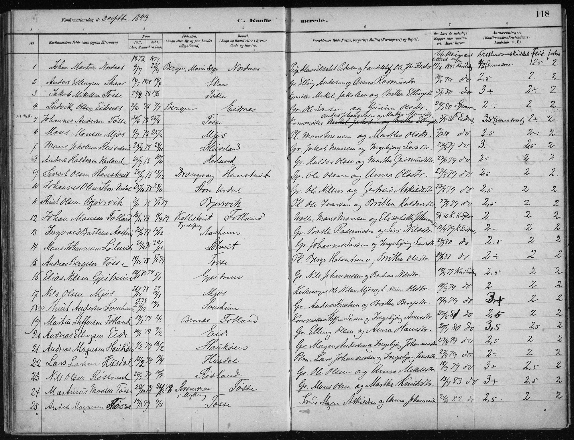 Hosanger sokneprestembete, AV/SAB-A-75801/H/Haa: Parish register (official) no. B  1, 1880-1896, p. 118