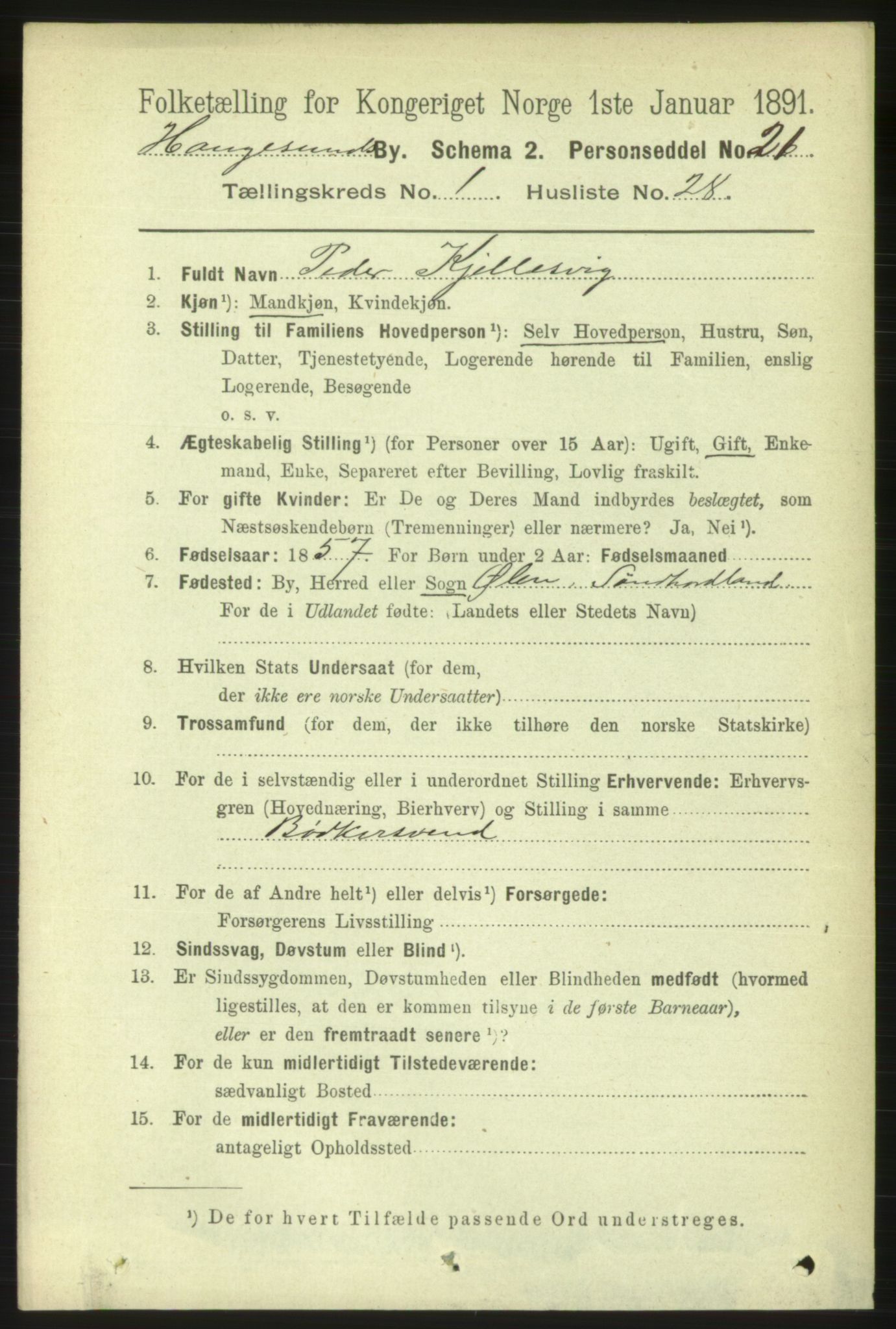 RA, 1891 census for 1106 Haugesund, 1891, p. 1020