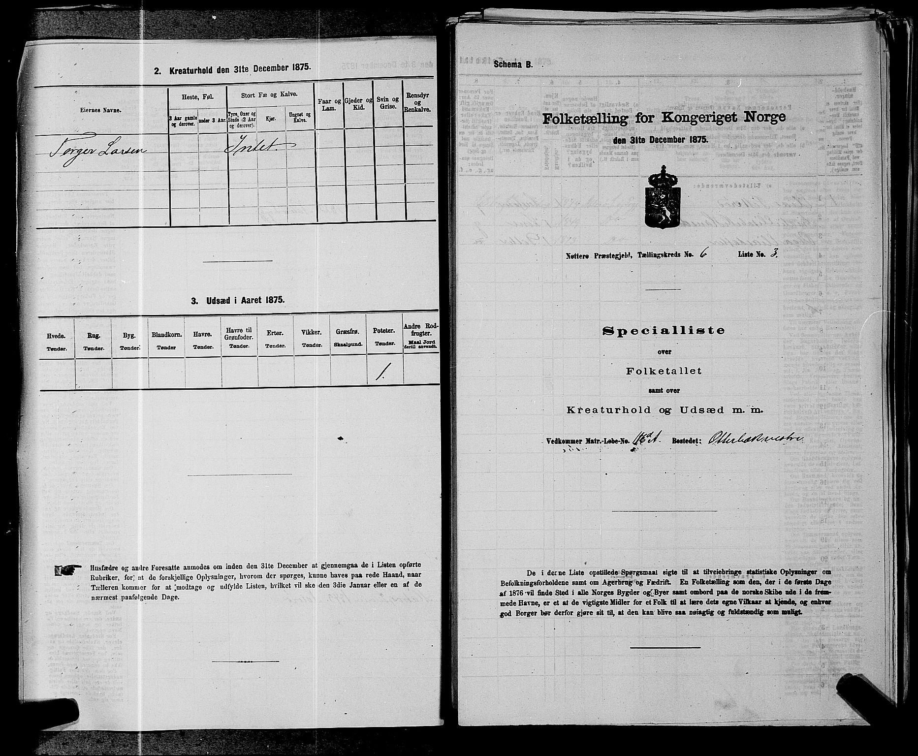 SAKO, 1875 census for 0722P Nøtterøy, 1875, p. 1154