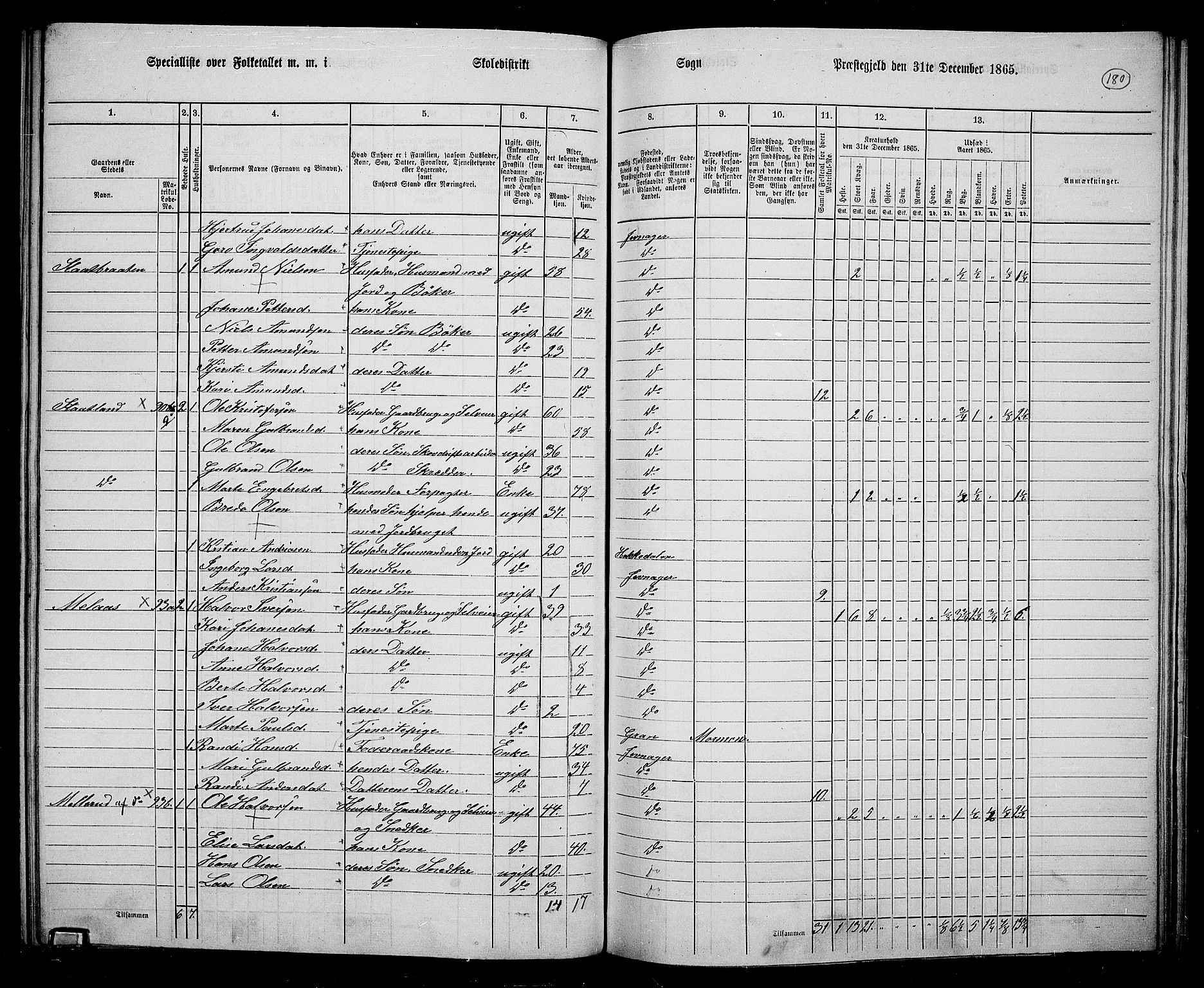 RA, 1865 census for Jevnaker, 1865, p. 166