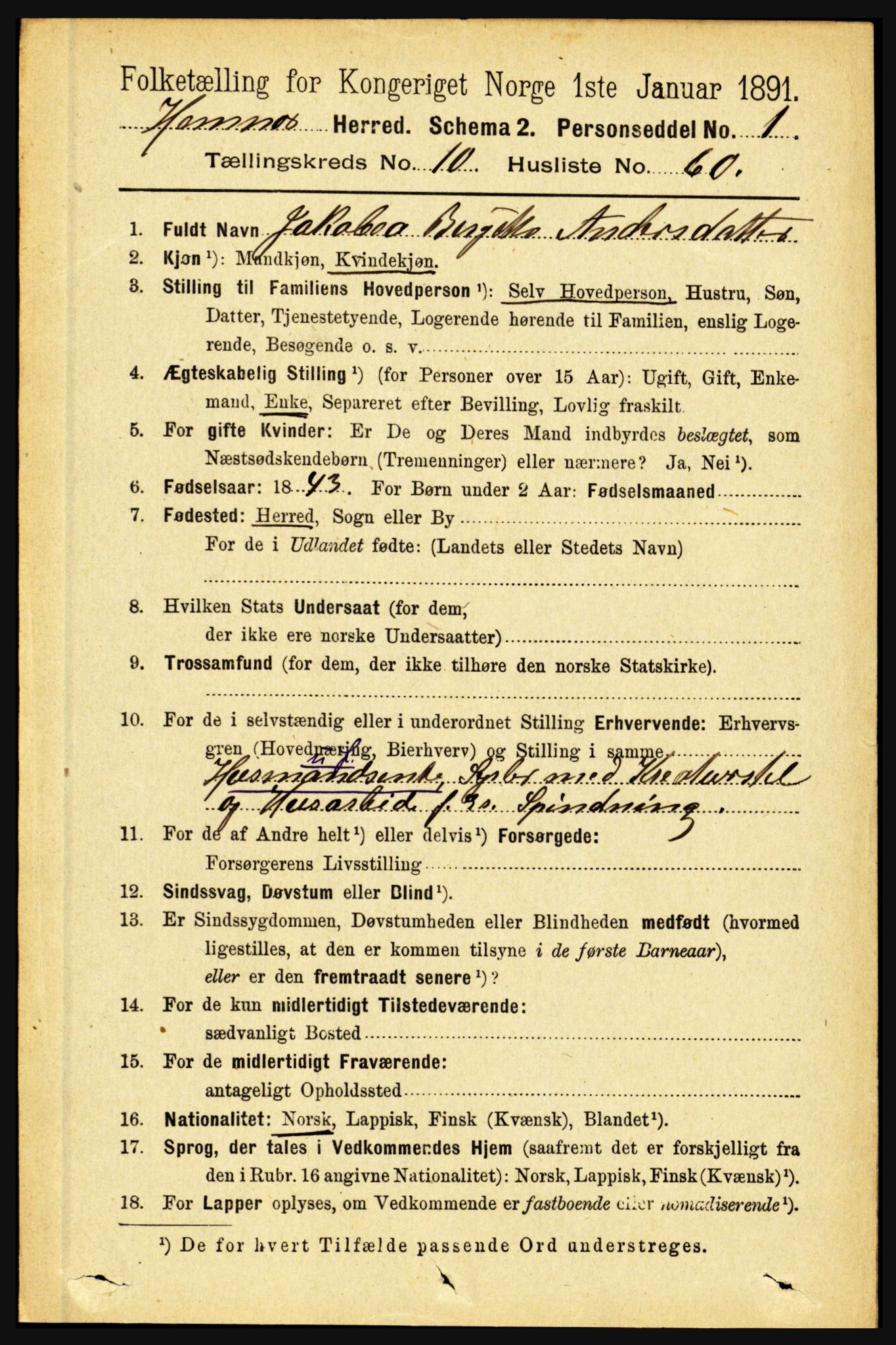 RA, 1891 census for 1832 Hemnes, 1891, p. 5240