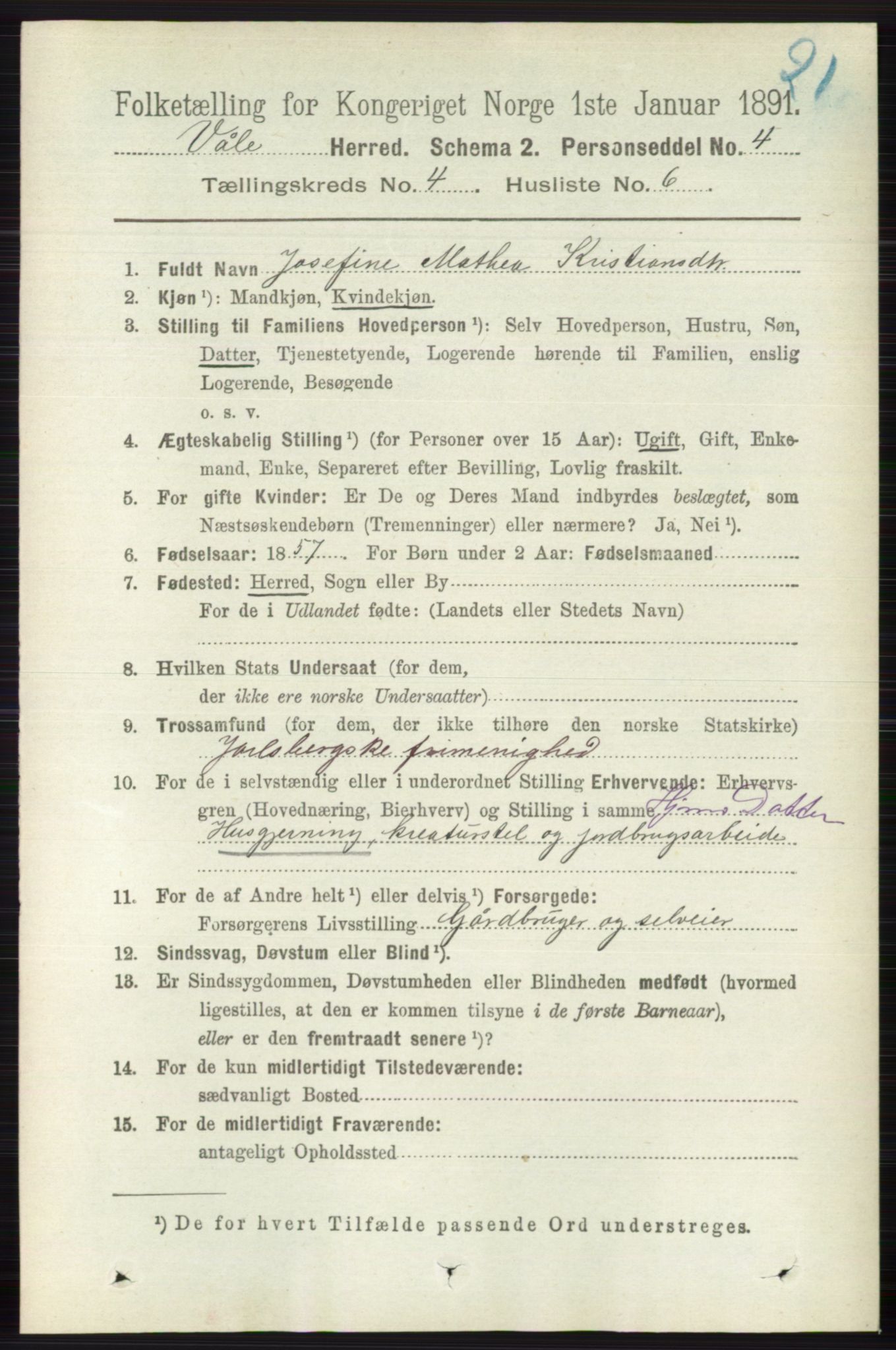 RA, 1891 census for 0716 Våle, 1891, p. 1015