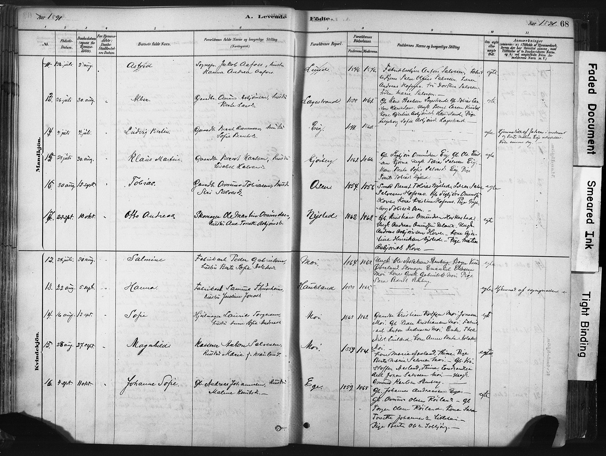 Lund sokneprestkontor, AV/SAST-A-101809/S06/L0011: Parish register (official) no. A 10, 1877-1904, p. 68