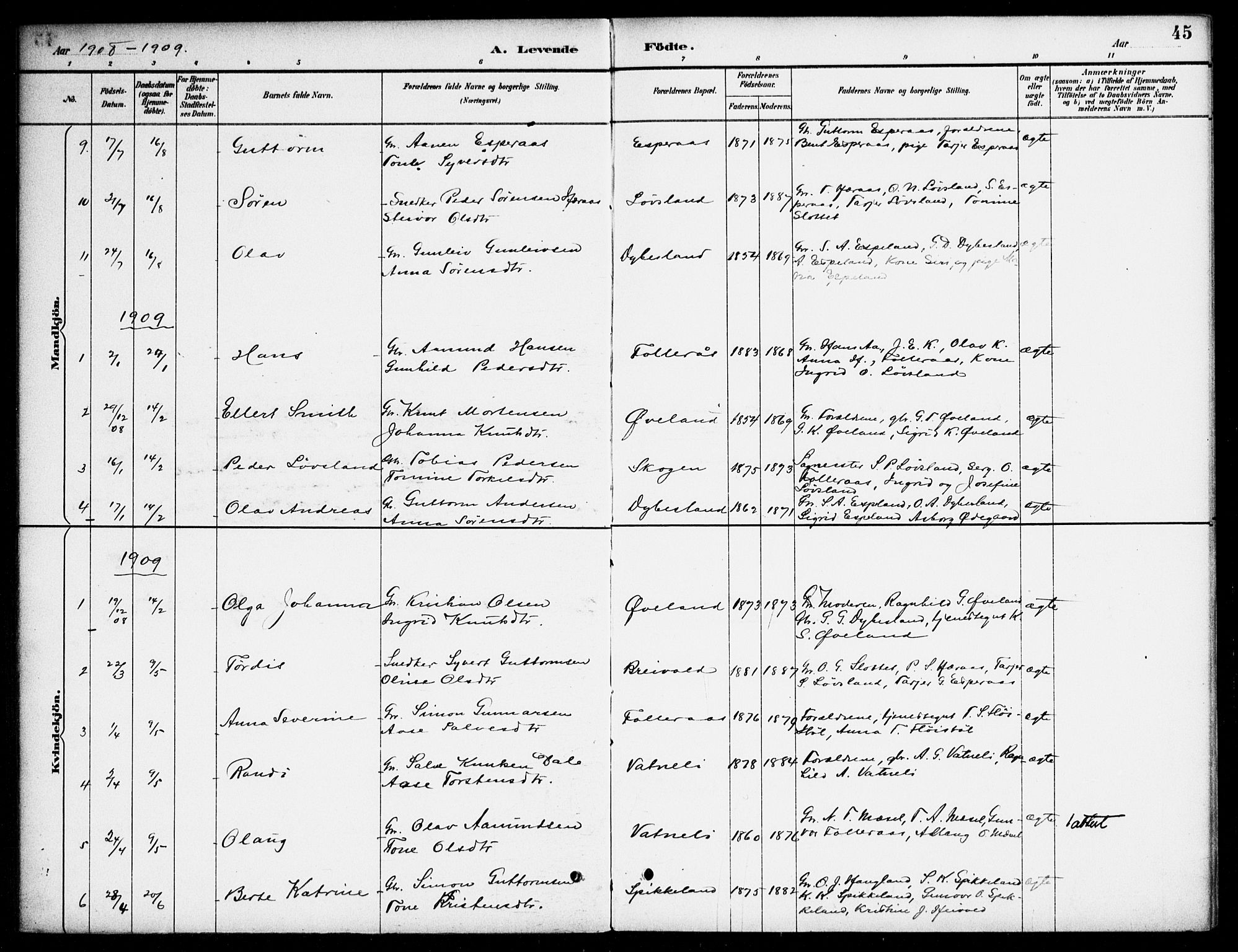 Bjelland sokneprestkontor, SAK/1111-0005/F/Fa/Fab/L0004: Parish register (official) no. A 4, 1887-1920, p. 45