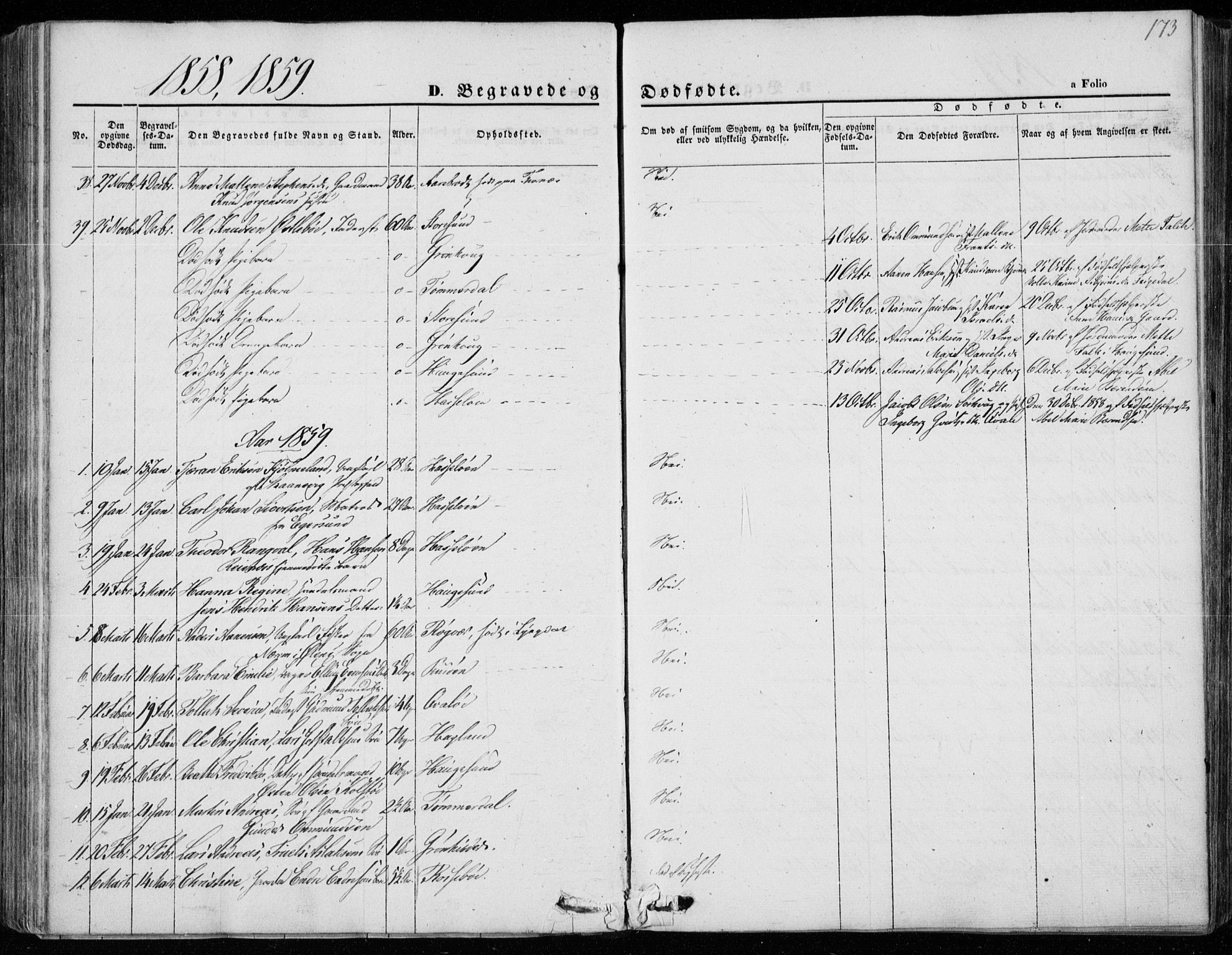 Torvastad sokneprestkontor, AV/SAST-A -101857/H/Ha/Haa/L0011: Parish register (official) no. A 11, 1857-1866, p. 173