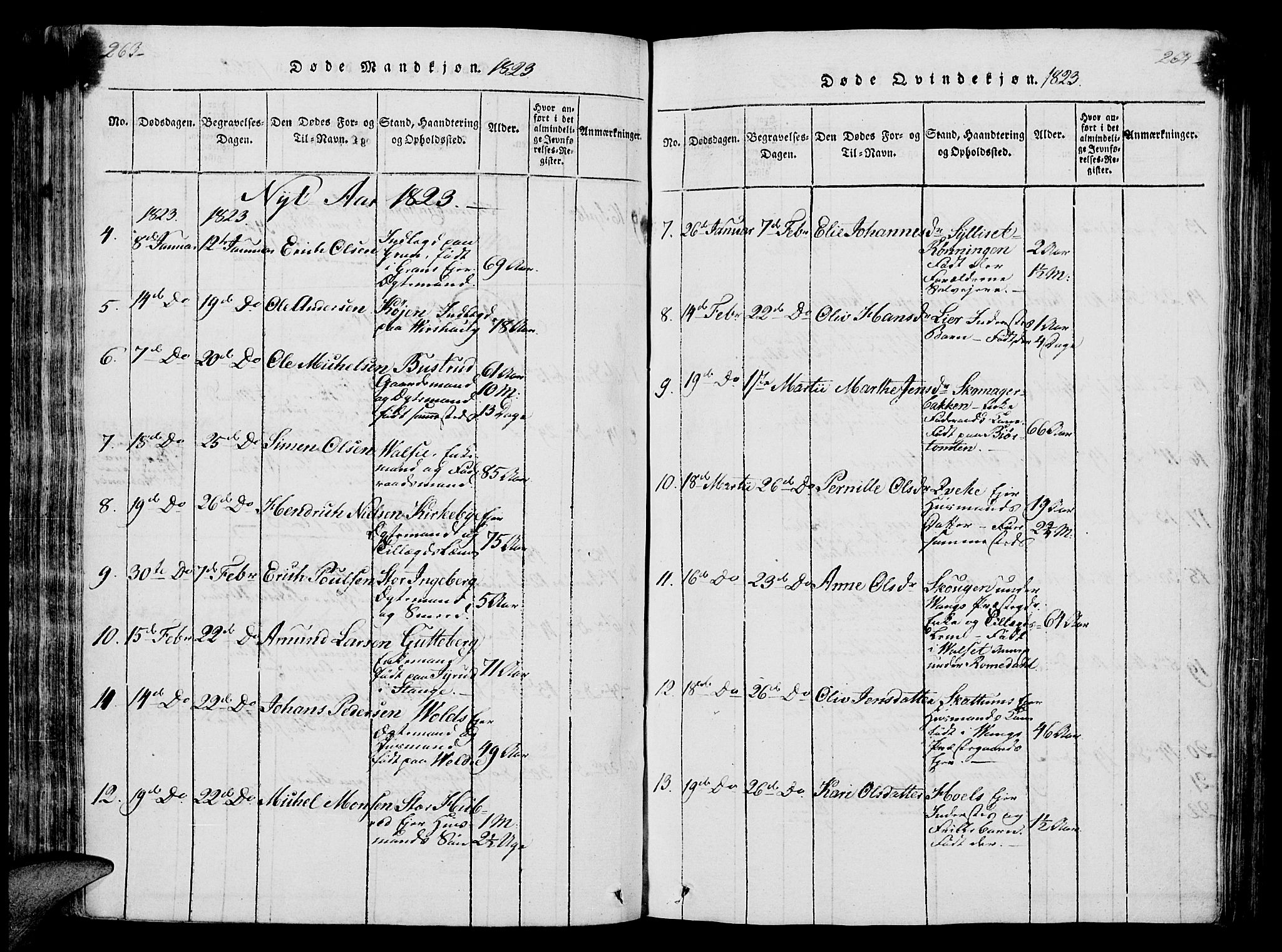 Vang prestekontor, Hedmark, SAH/PREST-008/H/Ha/Hab/L0004: Parish register (copy) no. 4, 1813-1827, p. 263-264