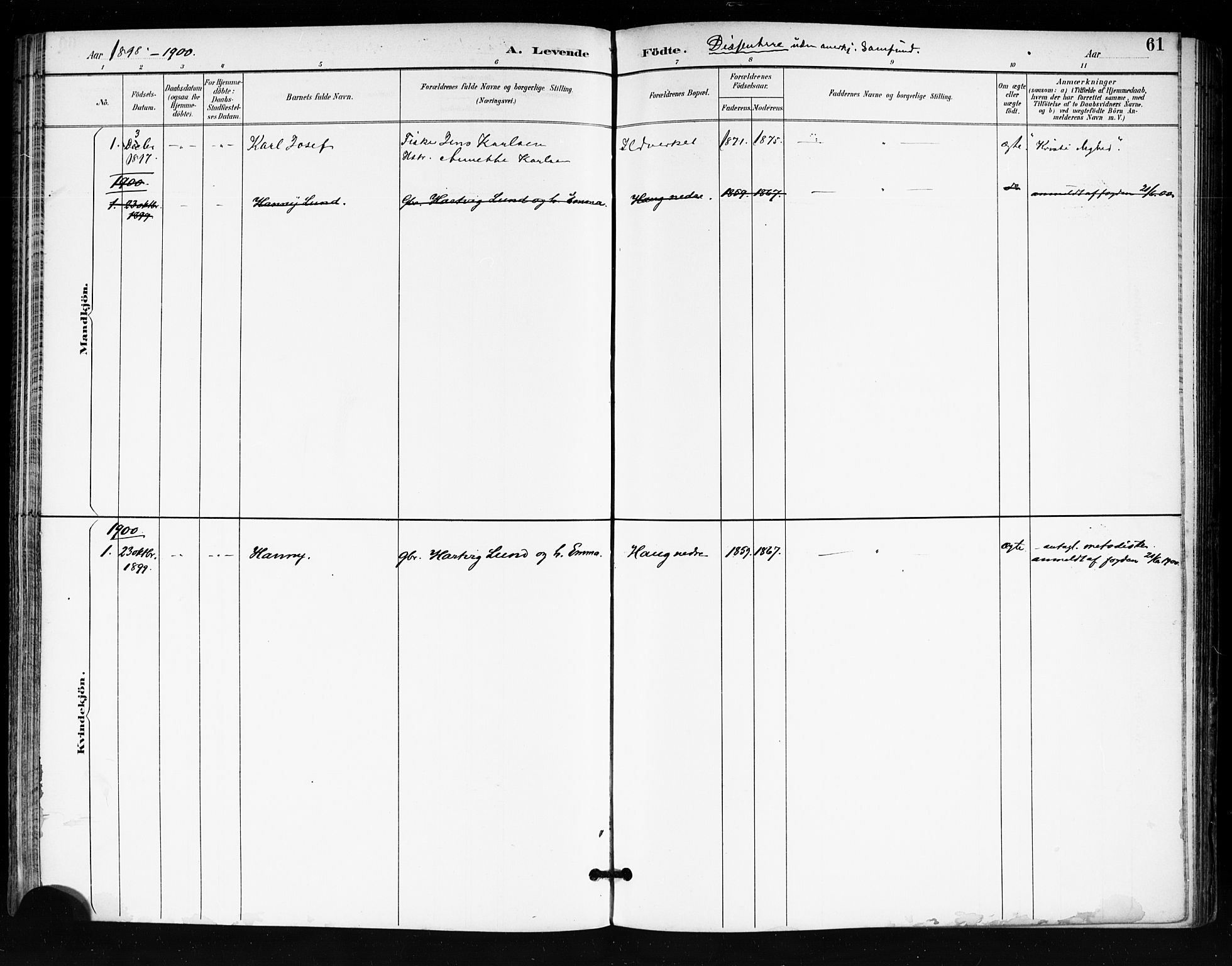 Tjøme kirkebøker, SAKO/A-328/F/Fa/L0003: Parish register (official) no. 3, 1891-1900, p. 61