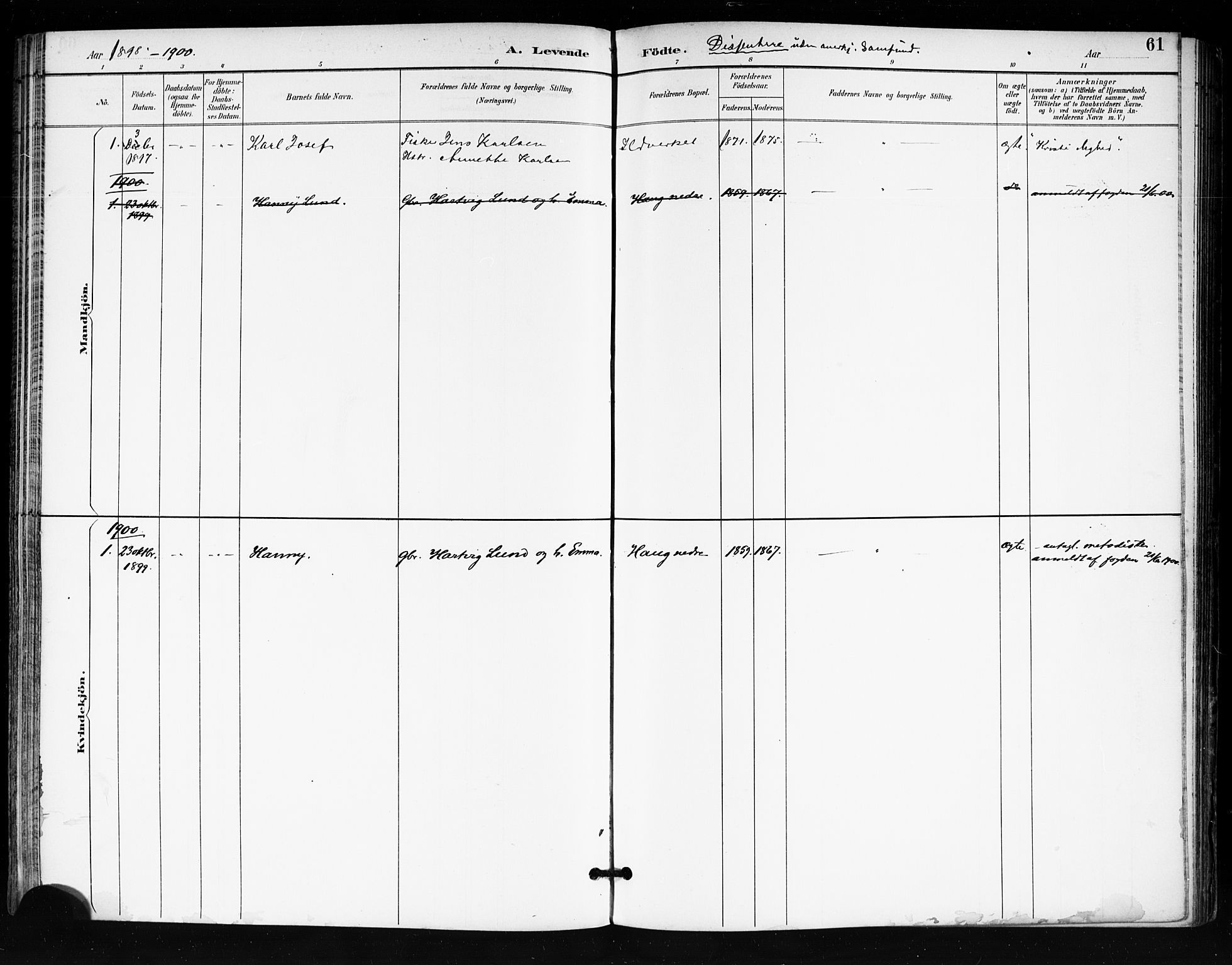 Tjøme kirkebøker, AV/SAKO-A-328/F/Fa/L0003: Parish register (official) no. I 3, 1891-1900, p. 61