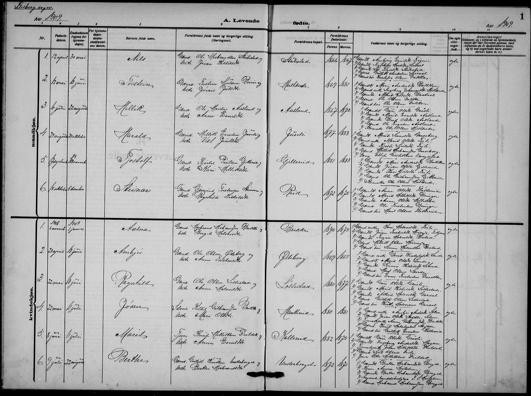 Flesberg kirkebøker, SAKO/A-18/G/Ga/L0006: Parish register (copy) no. I 6, 1909-1924, p. 1