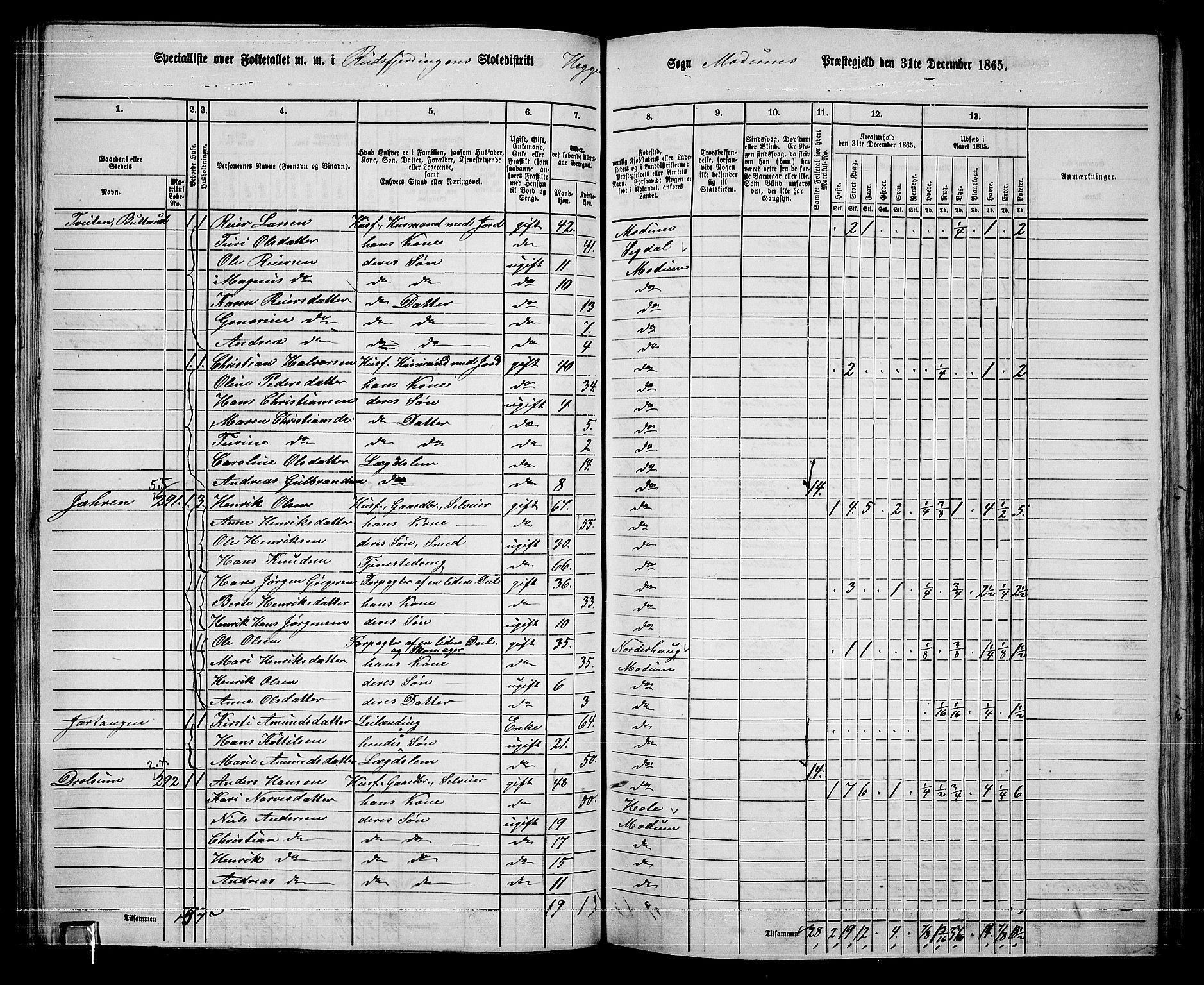 RA, 1865 census for Modum, 1865, p. 102