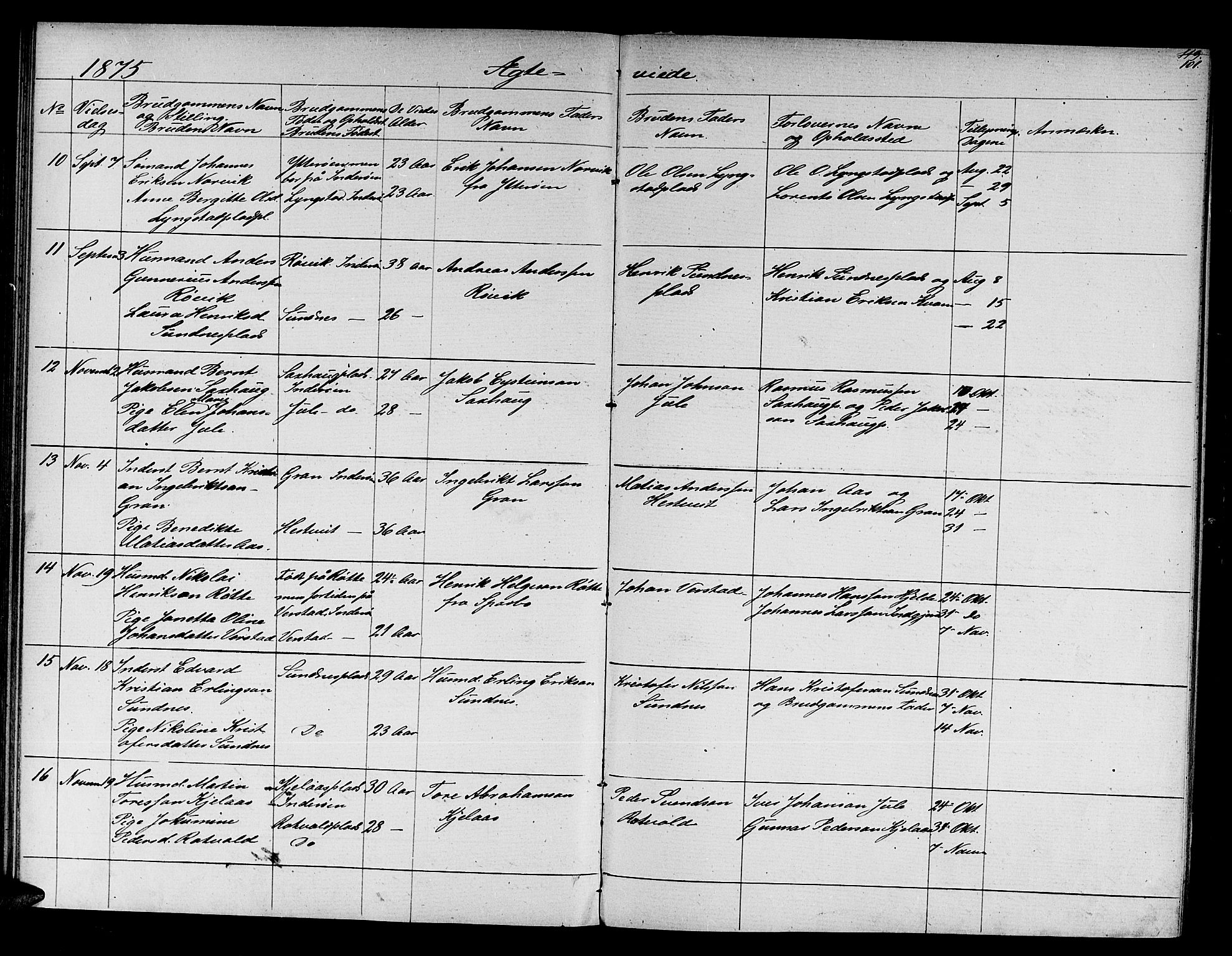 Ministerialprotokoller, klokkerbøker og fødselsregistre - Nord-Trøndelag, SAT/A-1458/730/L0300: Parish register (copy) no. 730C03, 1872-1879, p. 101