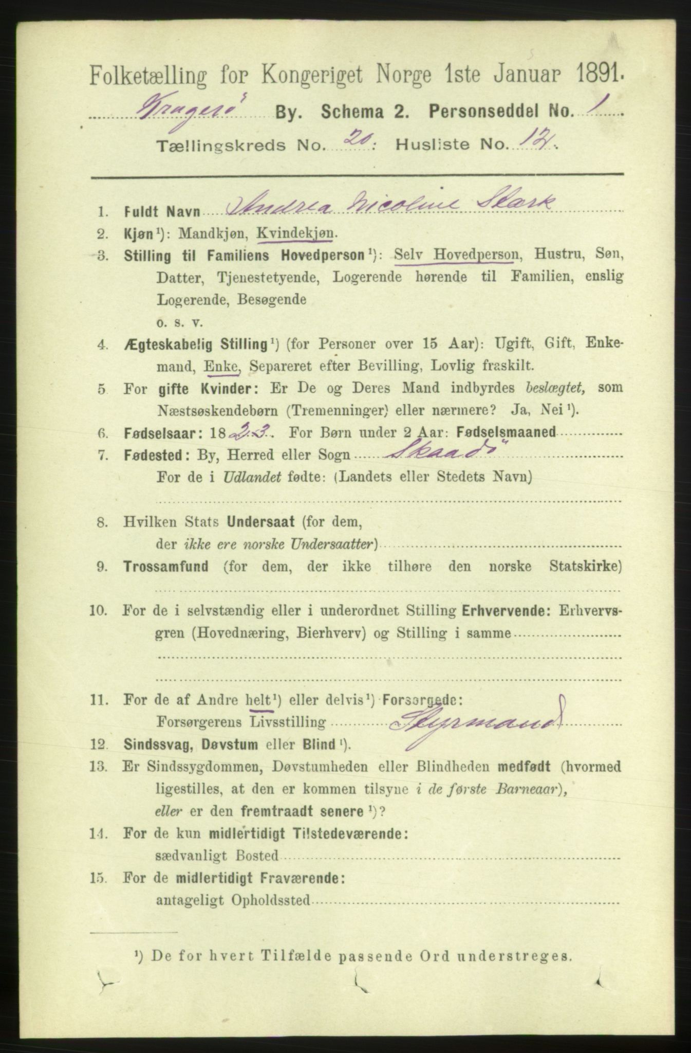 RA, 1891 census for 0801 Kragerø, 1891, p. 4690