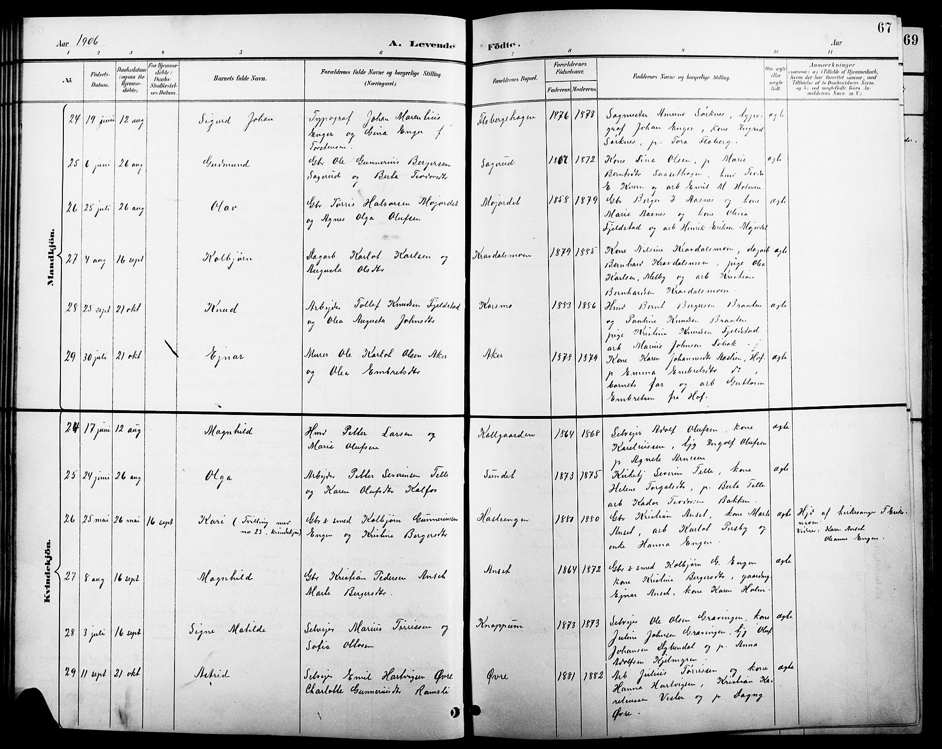 Åsnes prestekontor, SAH/PREST-042/H/Ha/Hab/L0004: Parish register (copy) no. 4, 1895-1909, p. 67