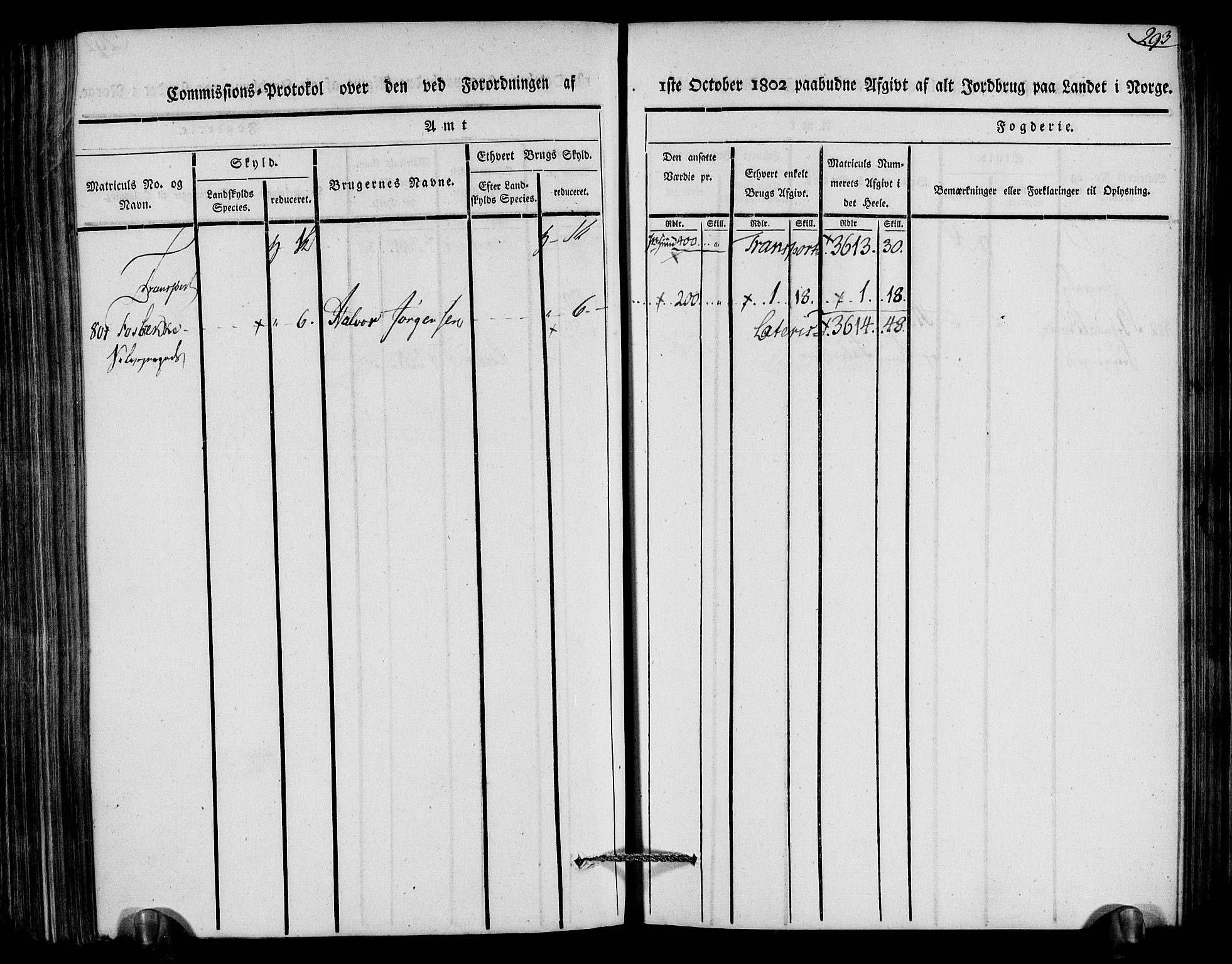 Rentekammeret inntil 1814, Realistisk ordnet avdeling, AV/RA-EA-4070/N/Ne/Nea/L0079: Nedenes fogderi. Kommisjonsprotokoll "Nr. 2", for Strengereid skipreide, 1803, p. 282