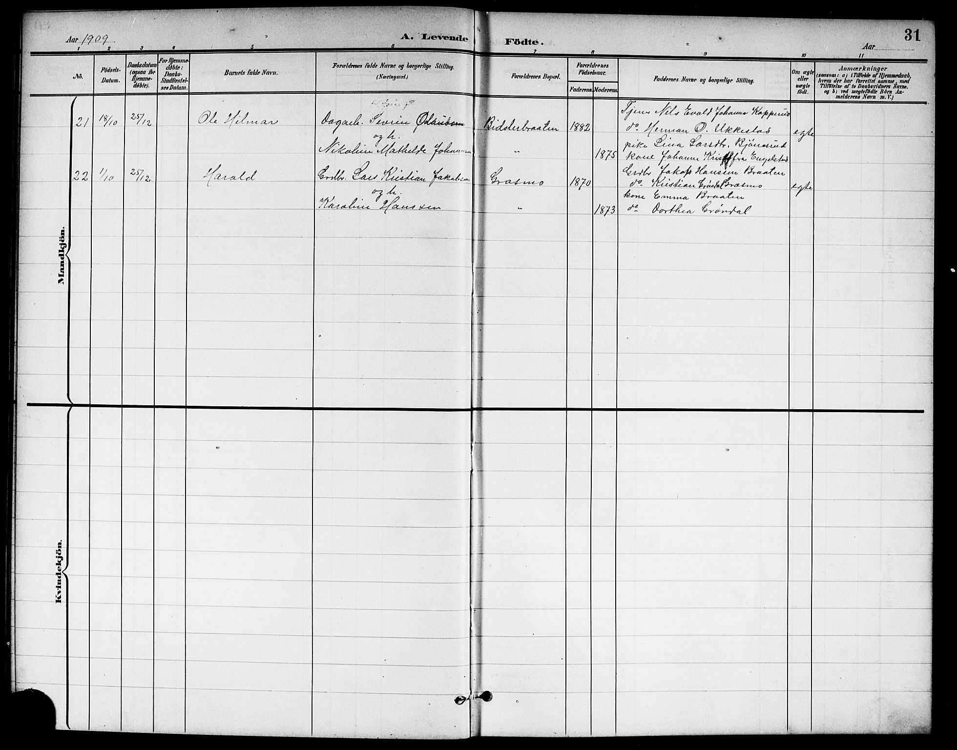 Nannestad prestekontor Kirkebøker, SAO/A-10414a/G/Ga/L0002: Parish register (copy) no. I 2, 1901-1913, p. 31