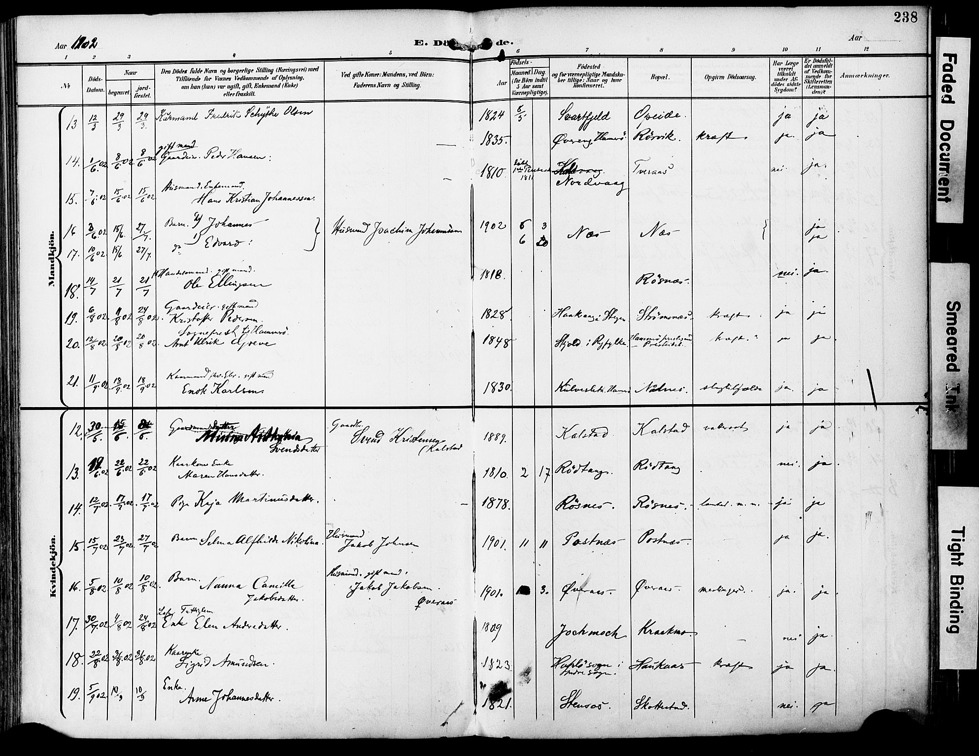 Ministerialprotokoller, klokkerbøker og fødselsregistre - Nordland, AV/SAT-A-1459/859/L0848: Parish register (official) no. 859A08, 1900-1912, p. 238