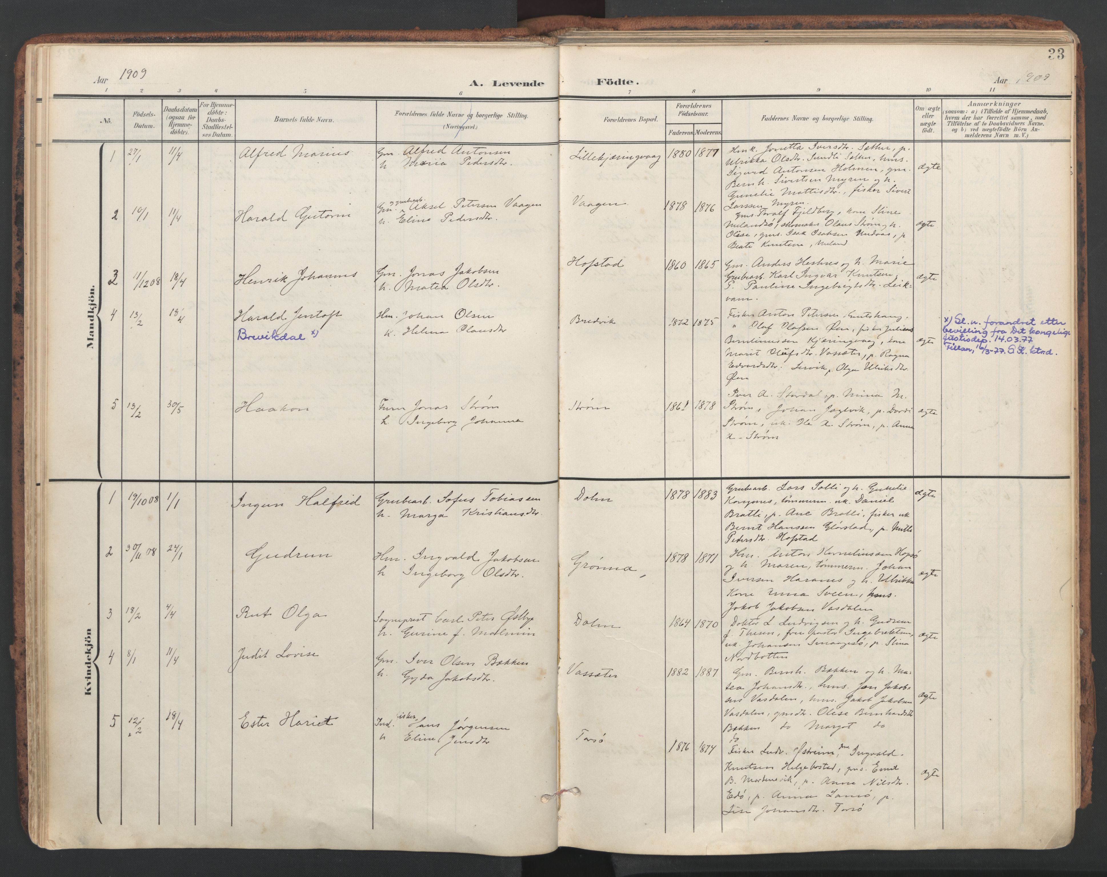 Ministerialprotokoller, klokkerbøker og fødselsregistre - Sør-Trøndelag, SAT/A-1456/634/L0537: Parish register (official) no. 634A13, 1896-1922, p. 33