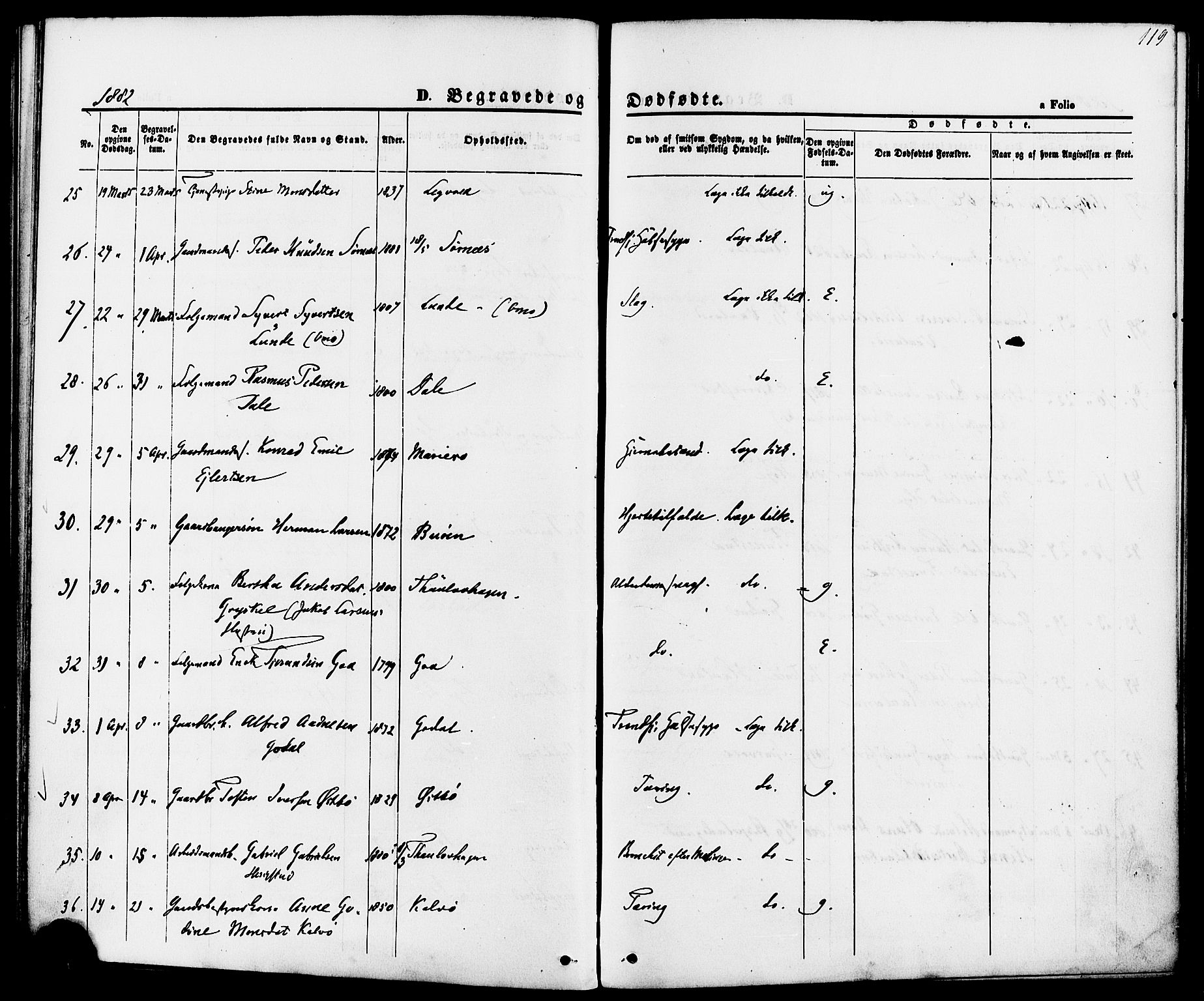 Hetland sokneprestkontor, AV/SAST-A-101826/30/30BA/L0006: Parish register (official) no. A 6, 1869-1884, p. 119