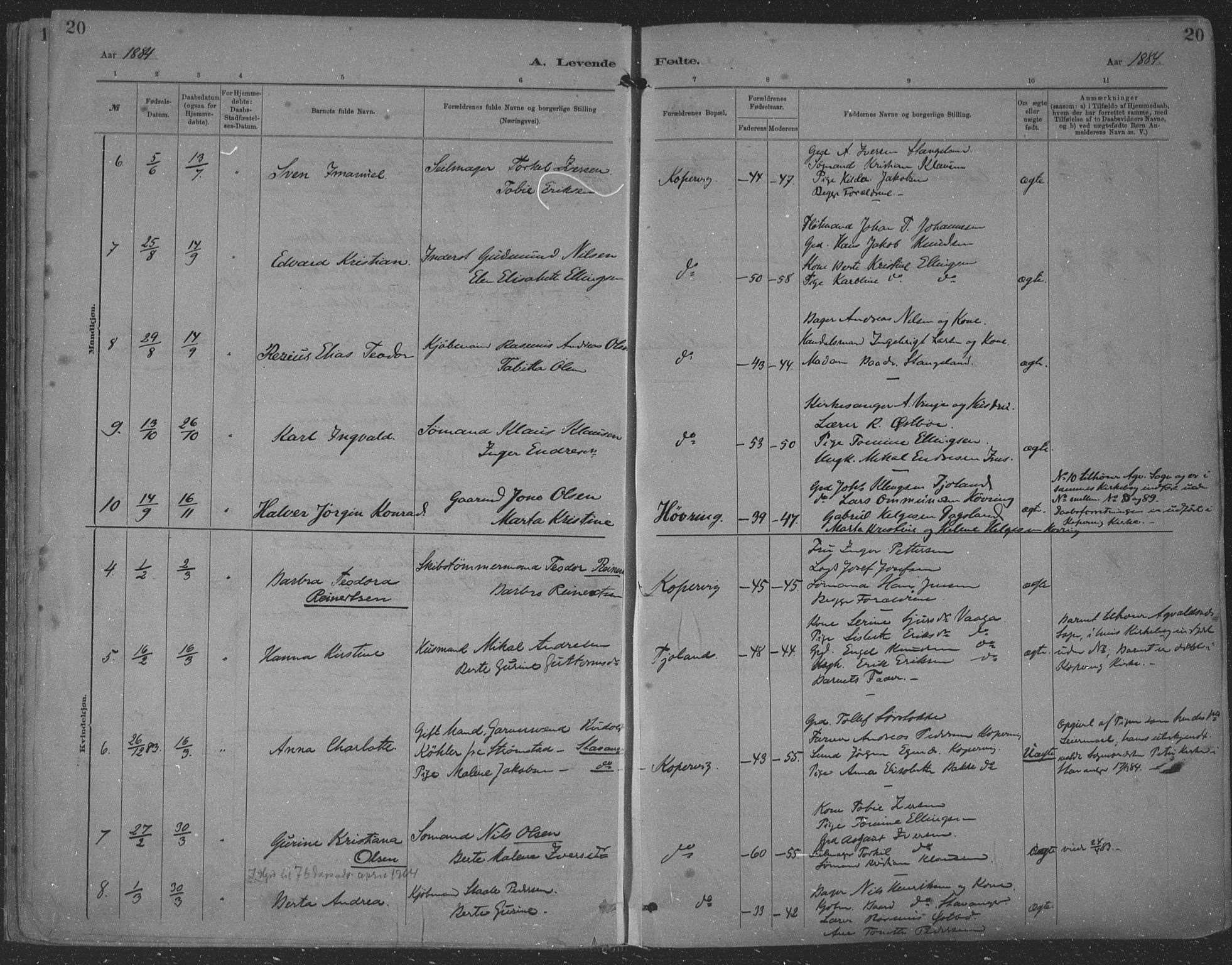 Kopervik sokneprestkontor, AV/SAST-A-101850/H/Ha/Haa/L0001: Parish register (official) no. A 1, 1880-1919, p. 20