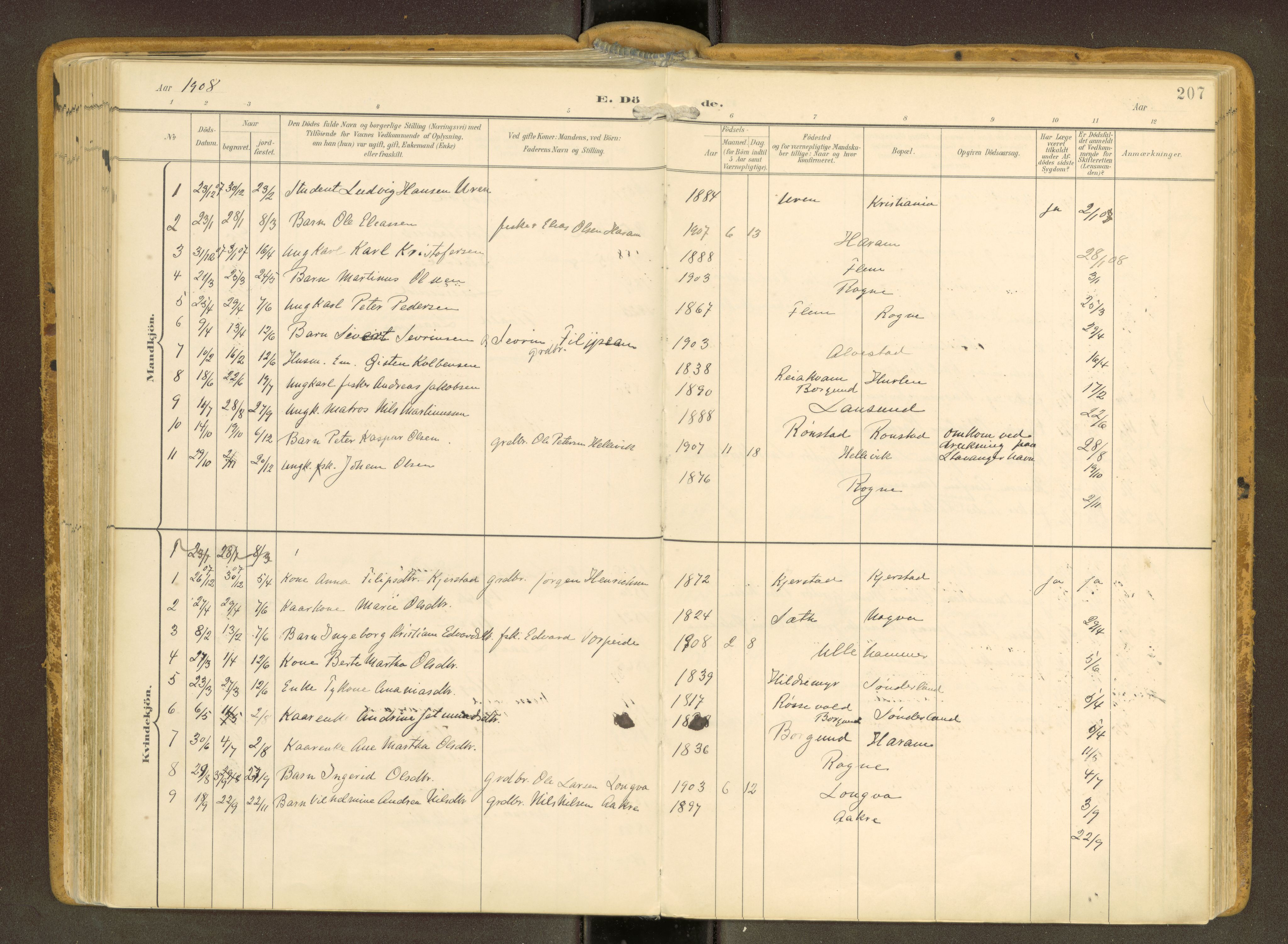 Ministerialprotokoller, klokkerbøker og fødselsregistre - Møre og Romsdal, SAT/A-1454/536/L0517: Parish register (official) no. 536A--, 1897-1917, p. 207