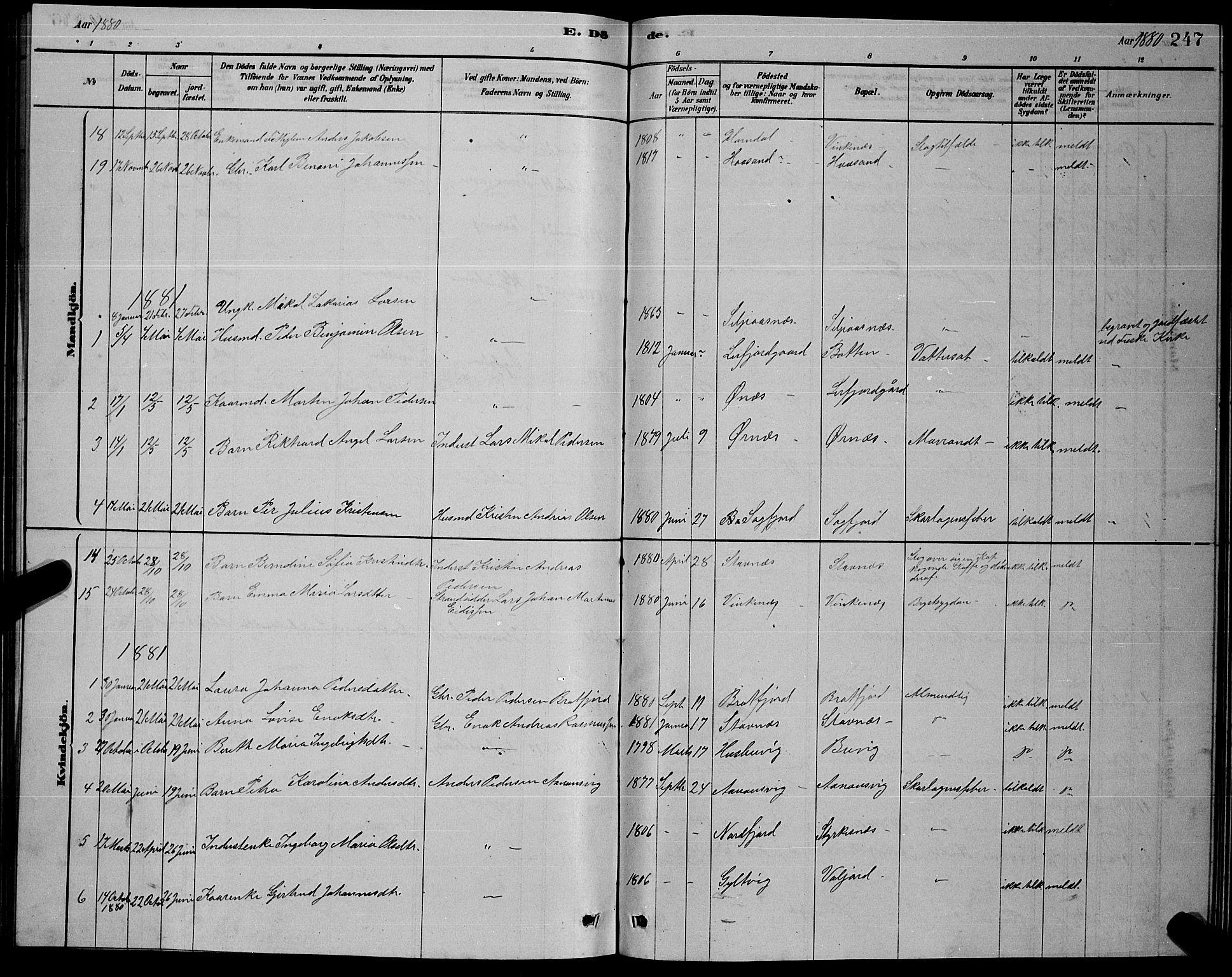 Ministerialprotokoller, klokkerbøker og fødselsregistre - Nordland, AV/SAT-A-1459/853/L0776: Parish register (copy) no. 853C04, 1878-1889, p. 247