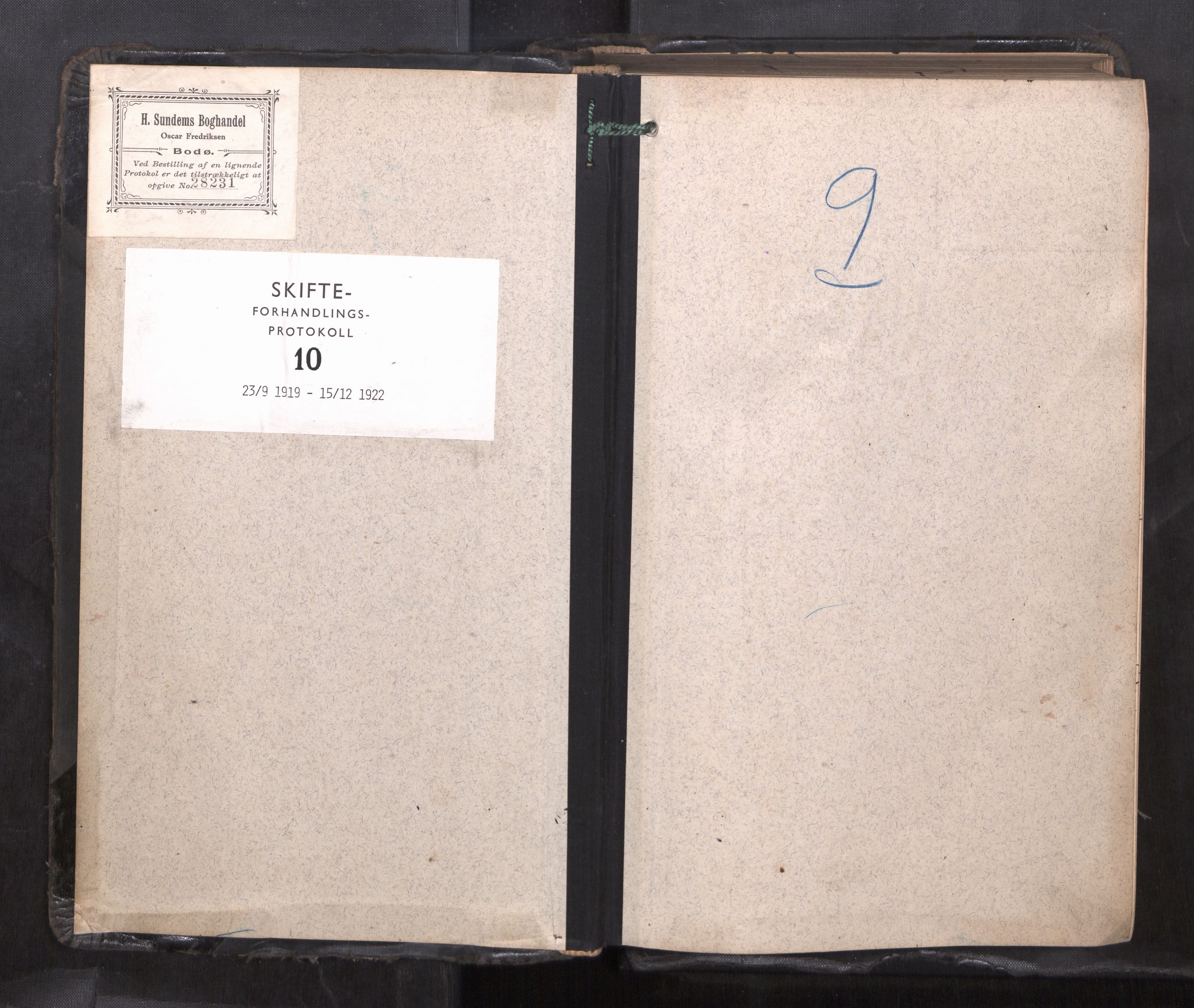 Lofoten sorenskriveri, AV/SAT-A-0017/1/3/3B/L0010: Skifteforhandlings-protokoll, 1919-1922