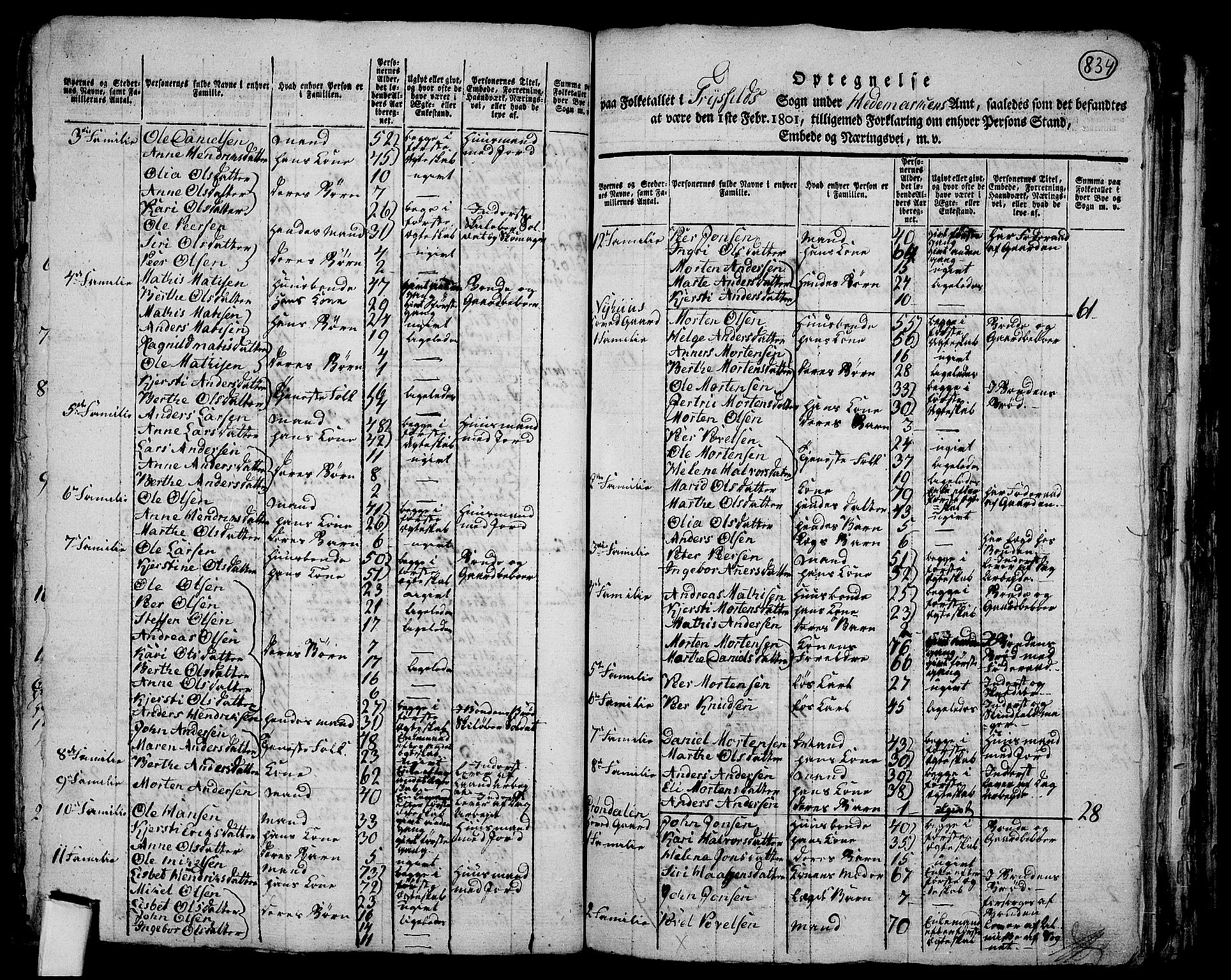 RA, 1801 census for 0428P Trysil, 1801, p. 833b-834a