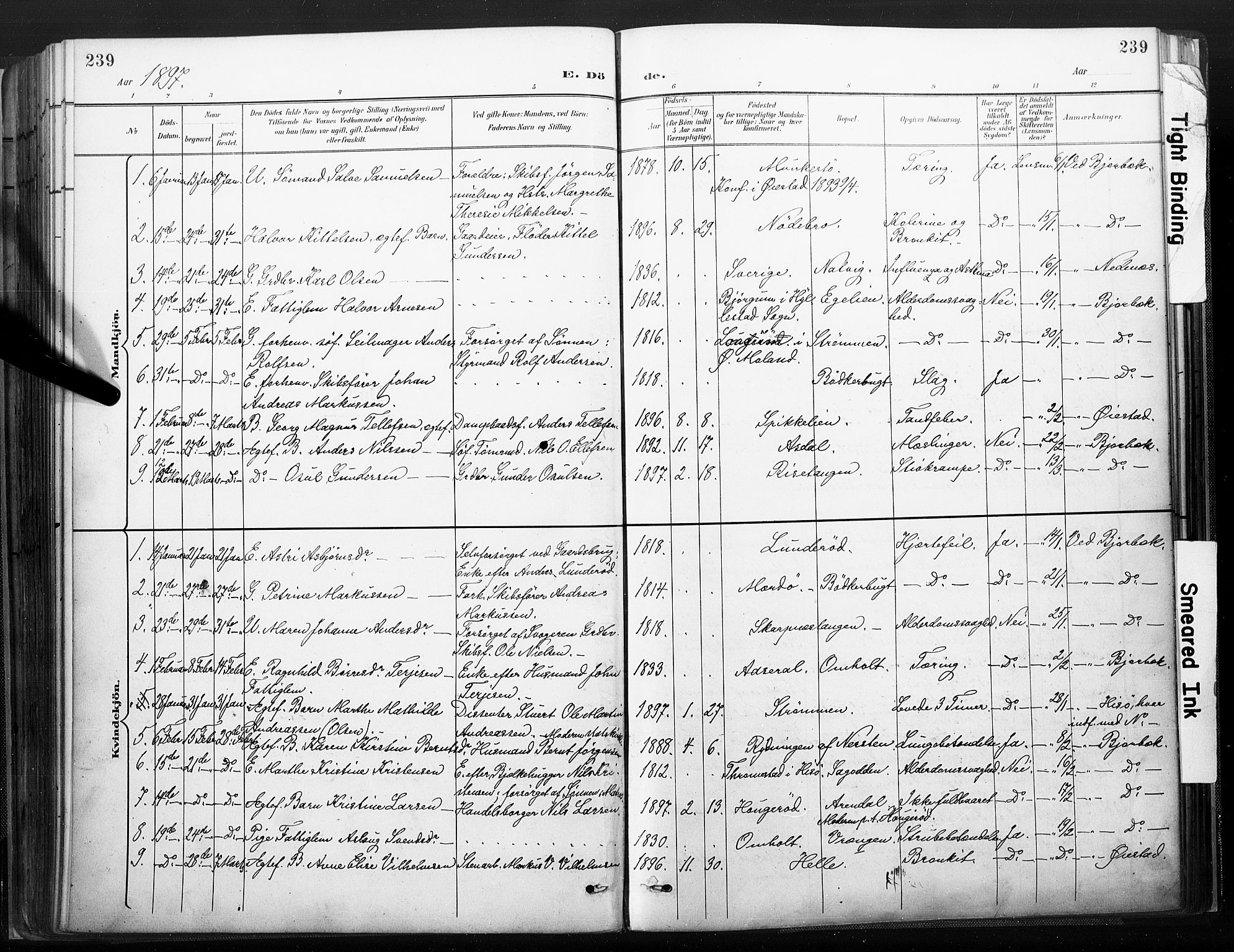 Øyestad sokneprestkontor, AV/SAK-1111-0049/F/Fa/L0018: Parish register (official) no. A 18, 1897-1907, p. 239