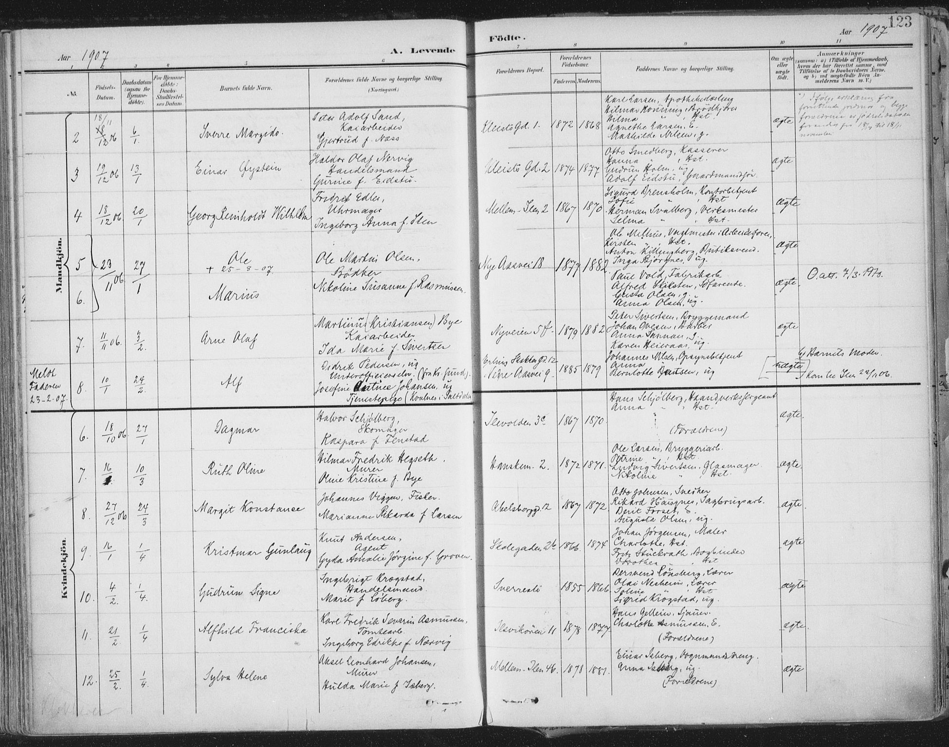 Ministerialprotokoller, klokkerbøker og fødselsregistre - Sør-Trøndelag, SAT/A-1456/603/L0167: Parish register (official) no. 603A06, 1896-1932, p. 123