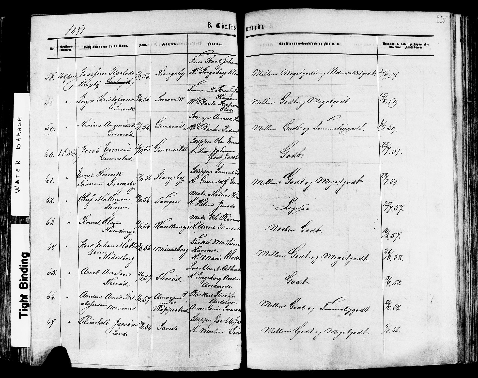 Nøtterøy kirkebøker, AV/SAKO-A-354/F/Fa/L0007: Parish register (official) no. I 7, 1865-1877, p. 225