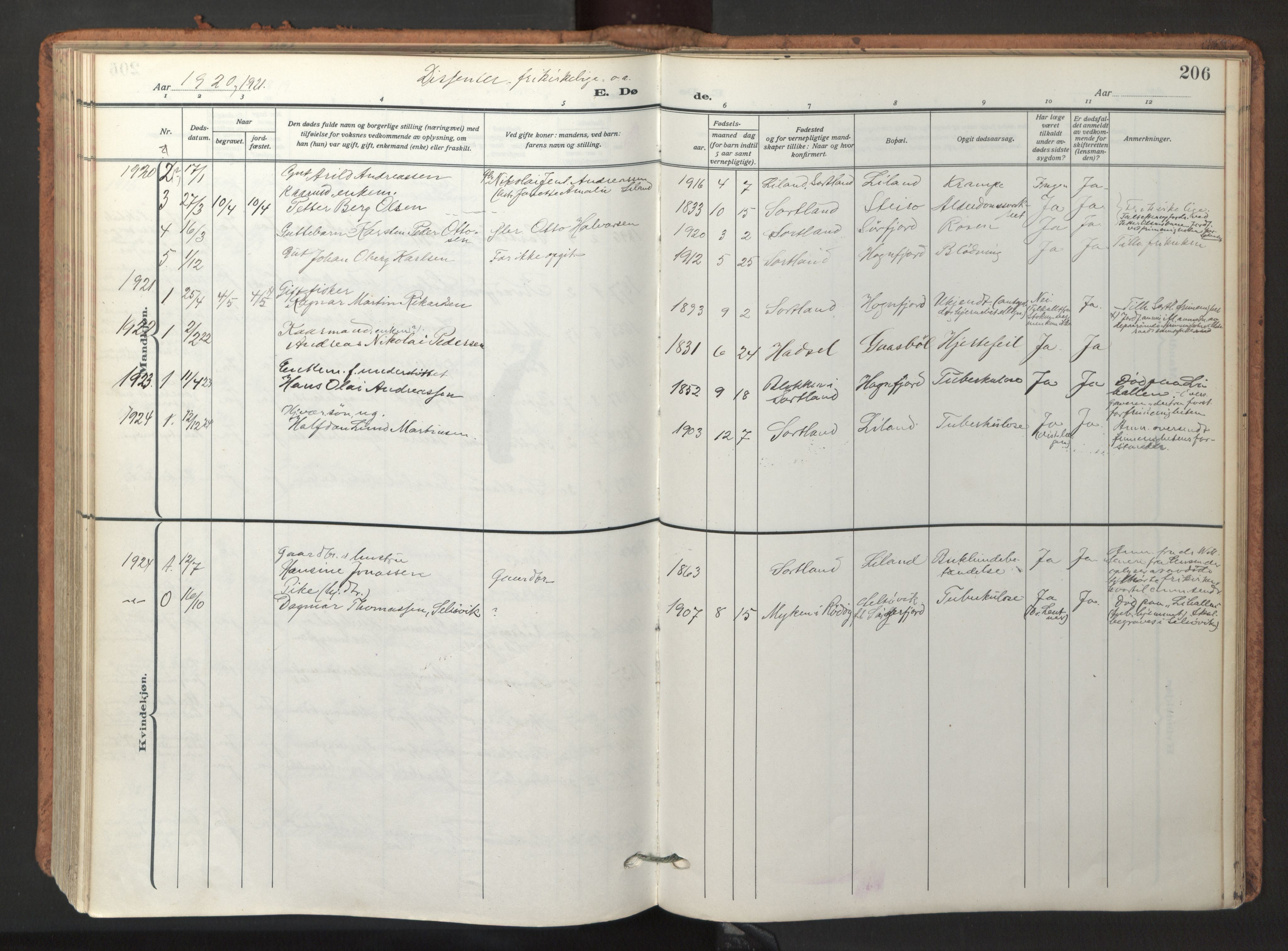 Ministerialprotokoller, klokkerbøker og fødselsregistre - Nordland, AV/SAT-A-1459/895/L1374: Parish register (official) no. 895A09, 1915-1925, p. 206