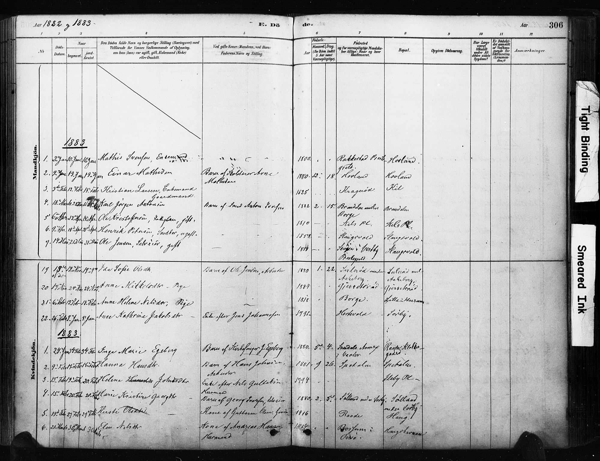 Råde prestekontor kirkebøker, AV/SAO-A-2009/F/Fa/L0007: Parish register (official) no. 7, 1878-1902, p. 306